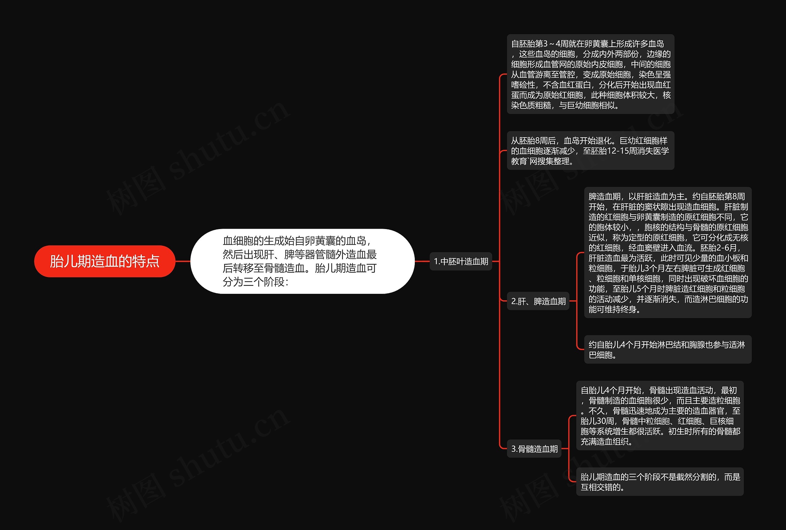 胎儿期造血的特点思维导图