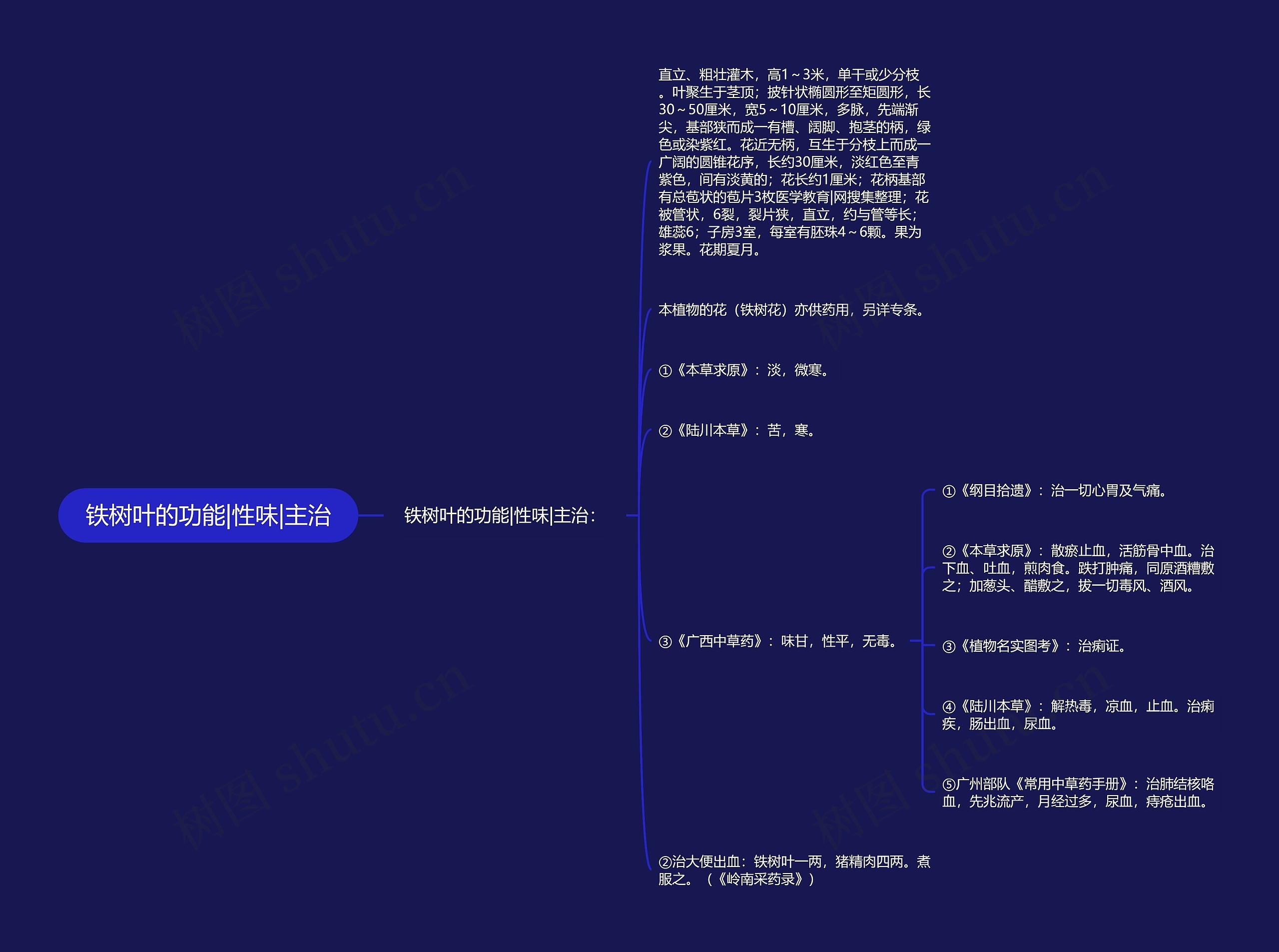 铁树叶的功能|性味|主治思维导图