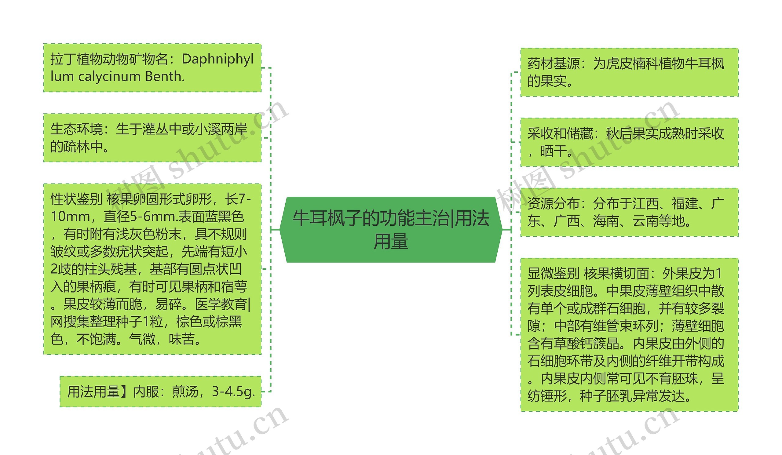 牛耳枫子的功能主治|用法用量思维导图