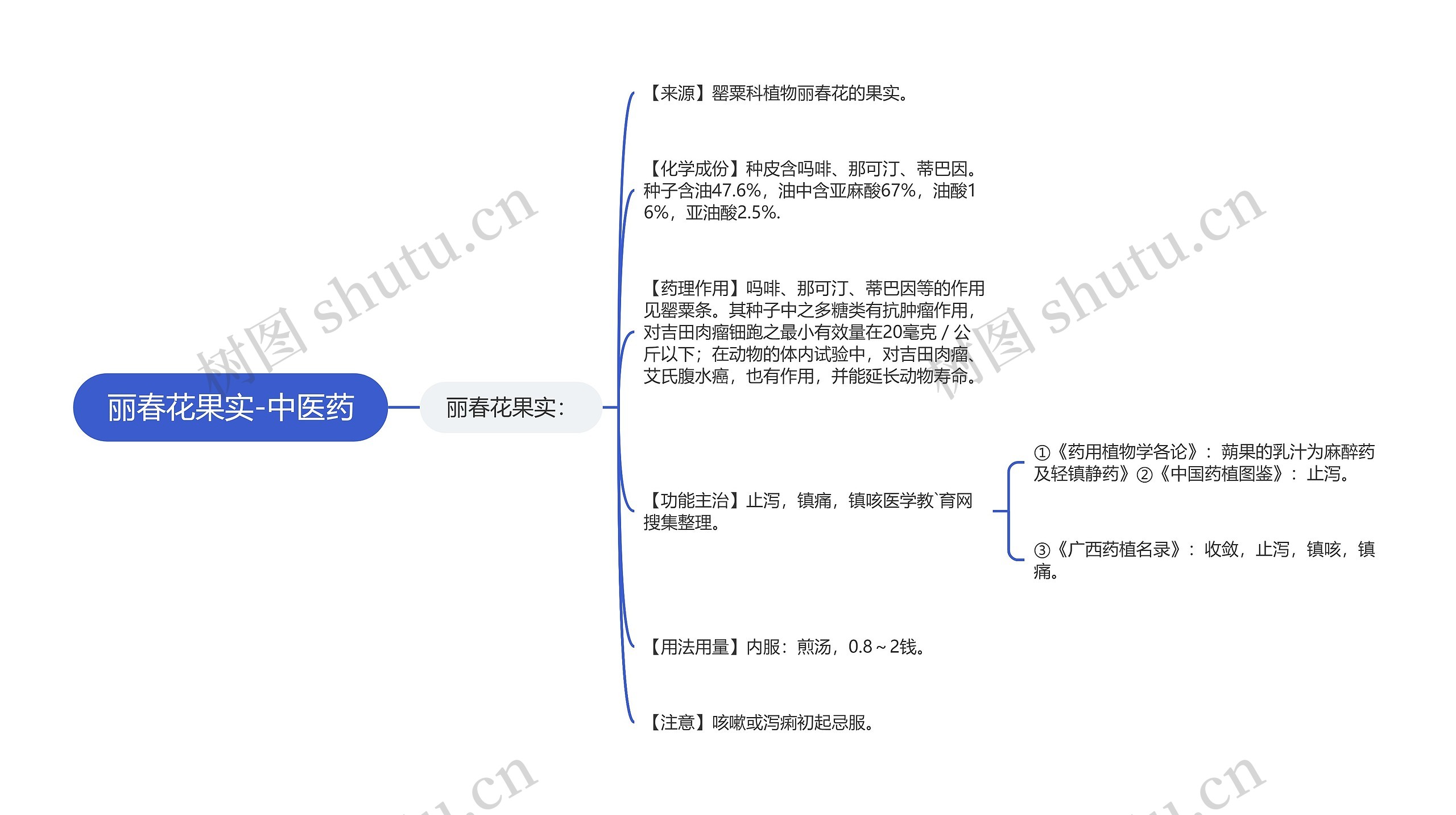 丽春花果实-中医药思维导图