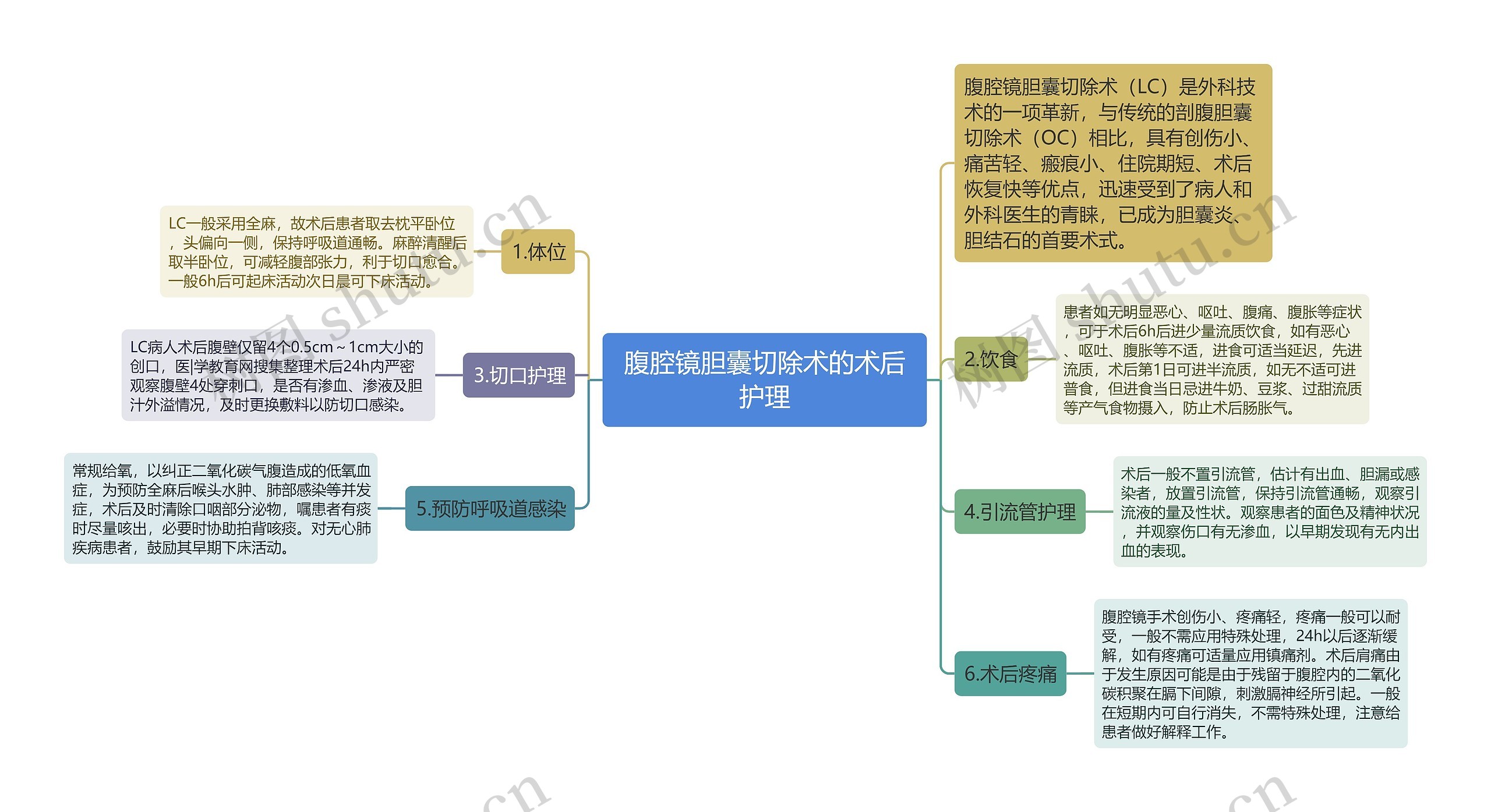 腹腔镜胆囊切除术的术后护理