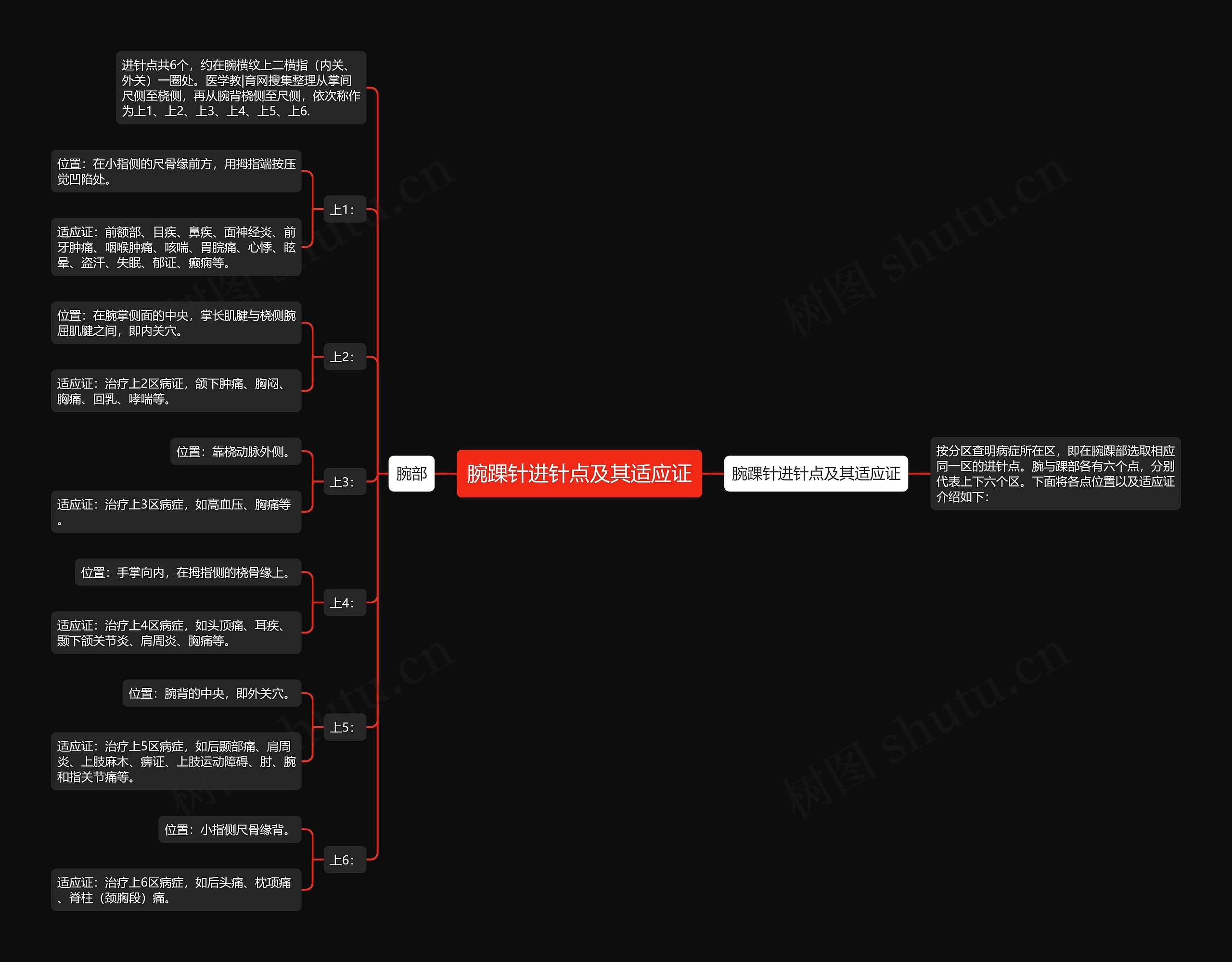 腕踝针进针点及其适应证思维导图