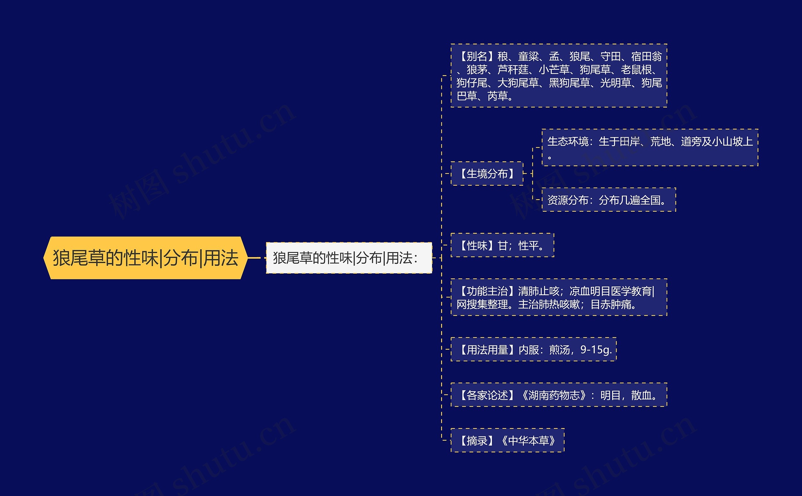 狼尾草的性味|分布|用法思维导图