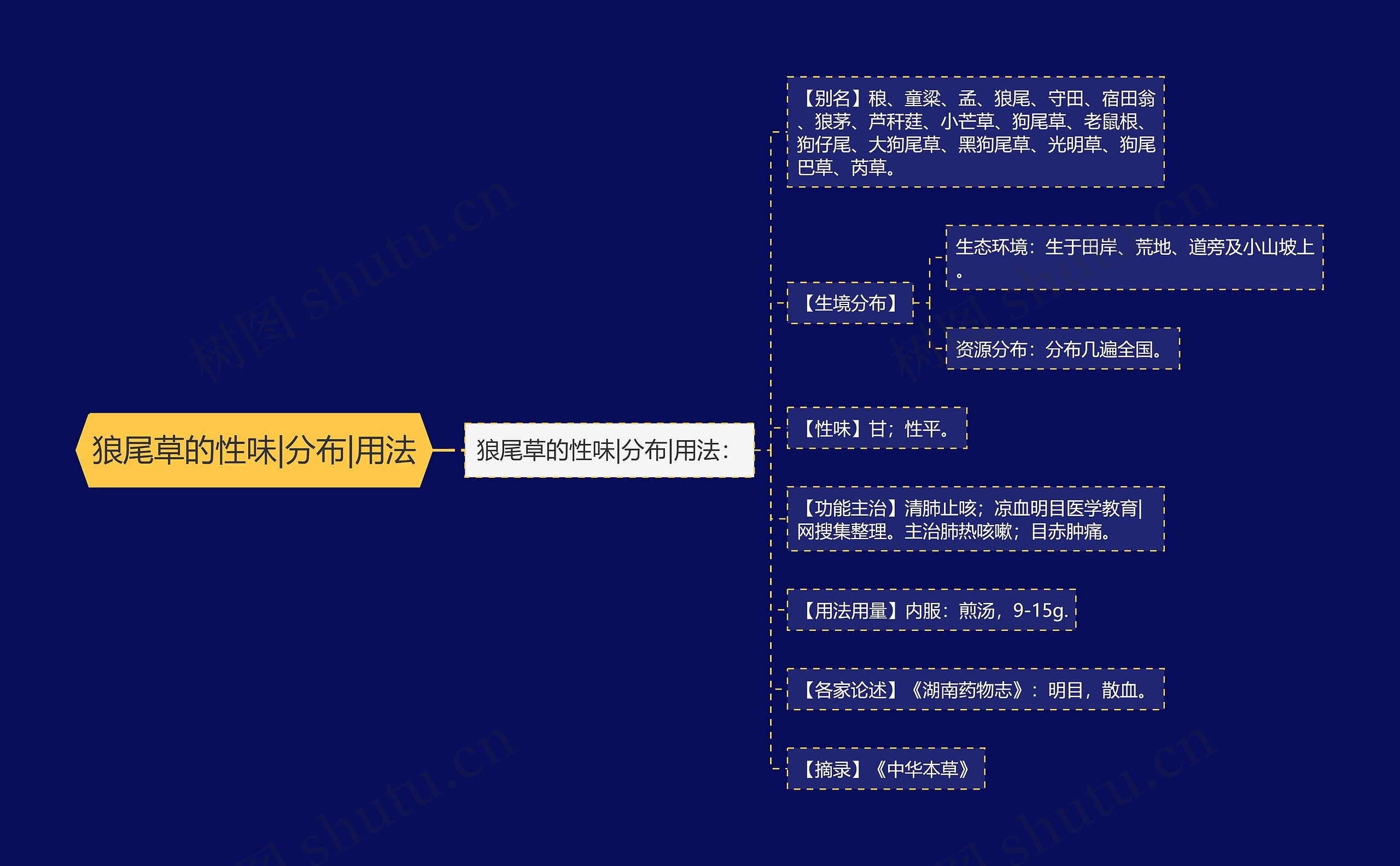 狼尾草的性味|分布|用法 狼尾草的性味|分布|用法