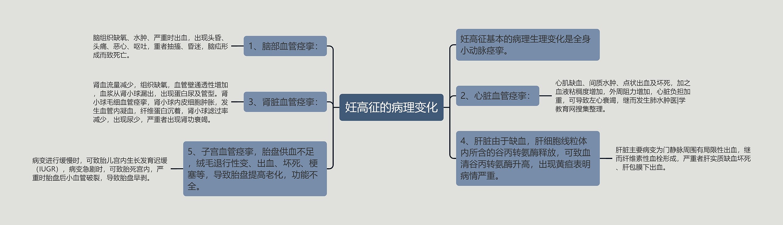 妊高征的病理变化