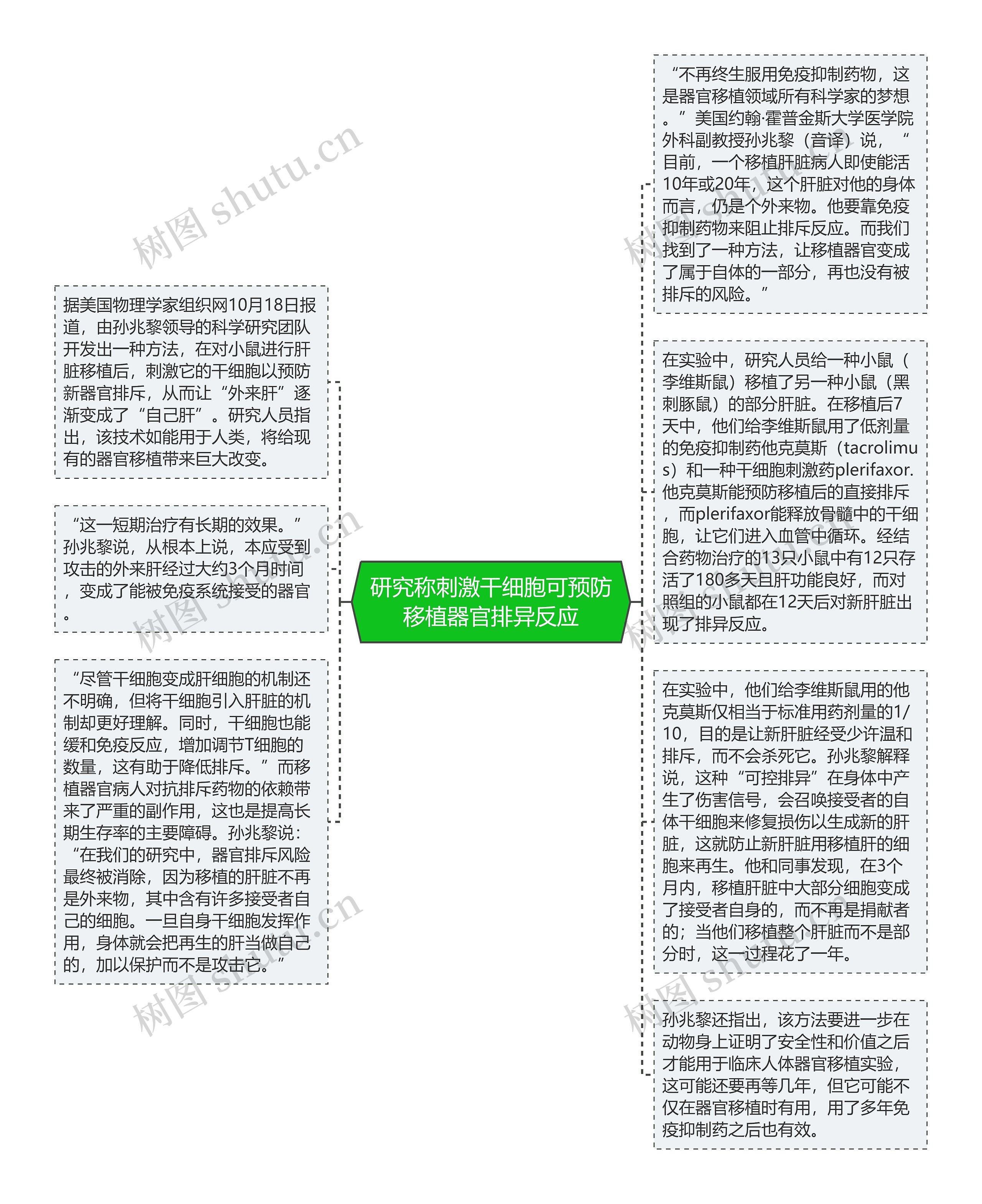 研究称刺激干细胞可预防移植器官排异反应思维导图