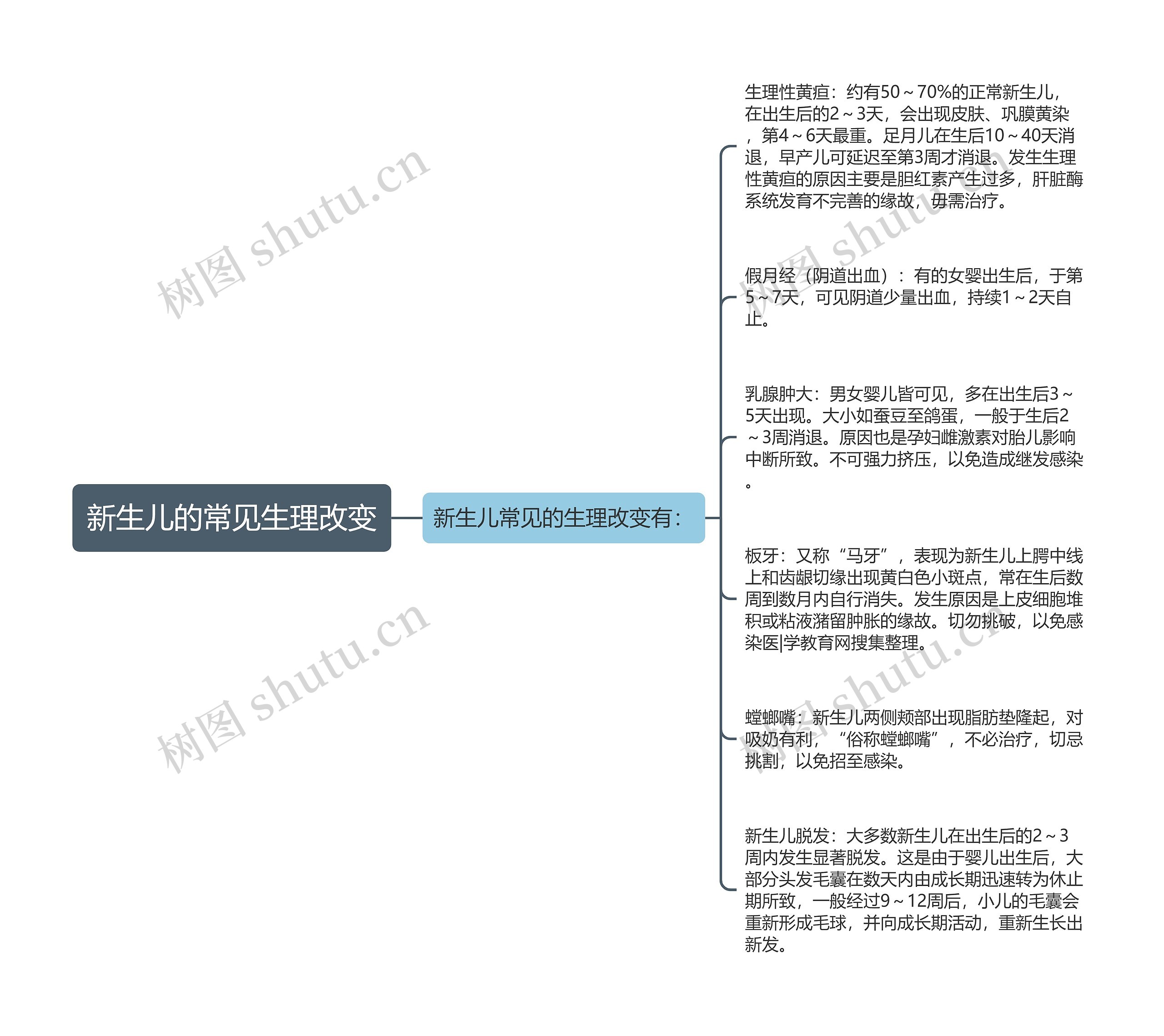 新生儿的常见生理改变