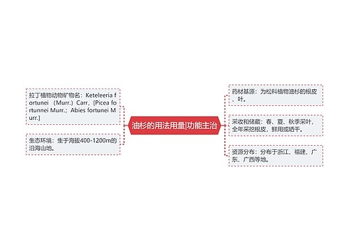 油杉的用法用量|功能主治