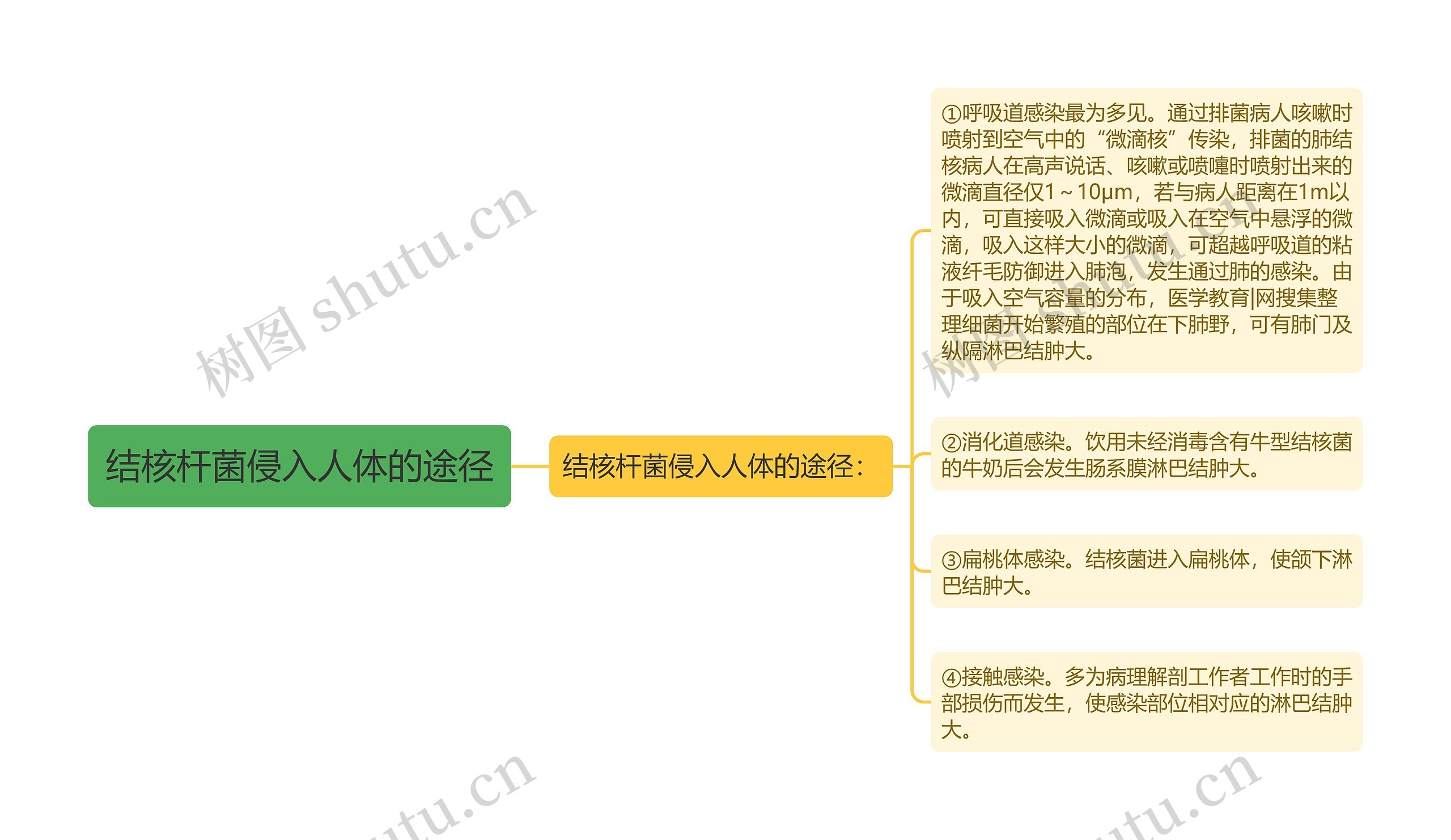 结核杆菌侵入人体的途径