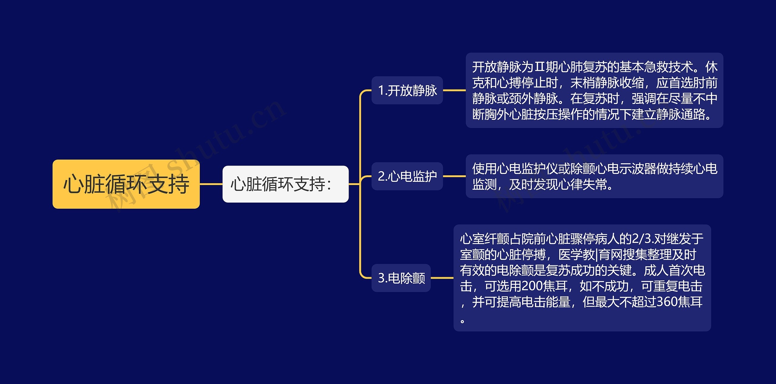 心脏循环支持思维导图