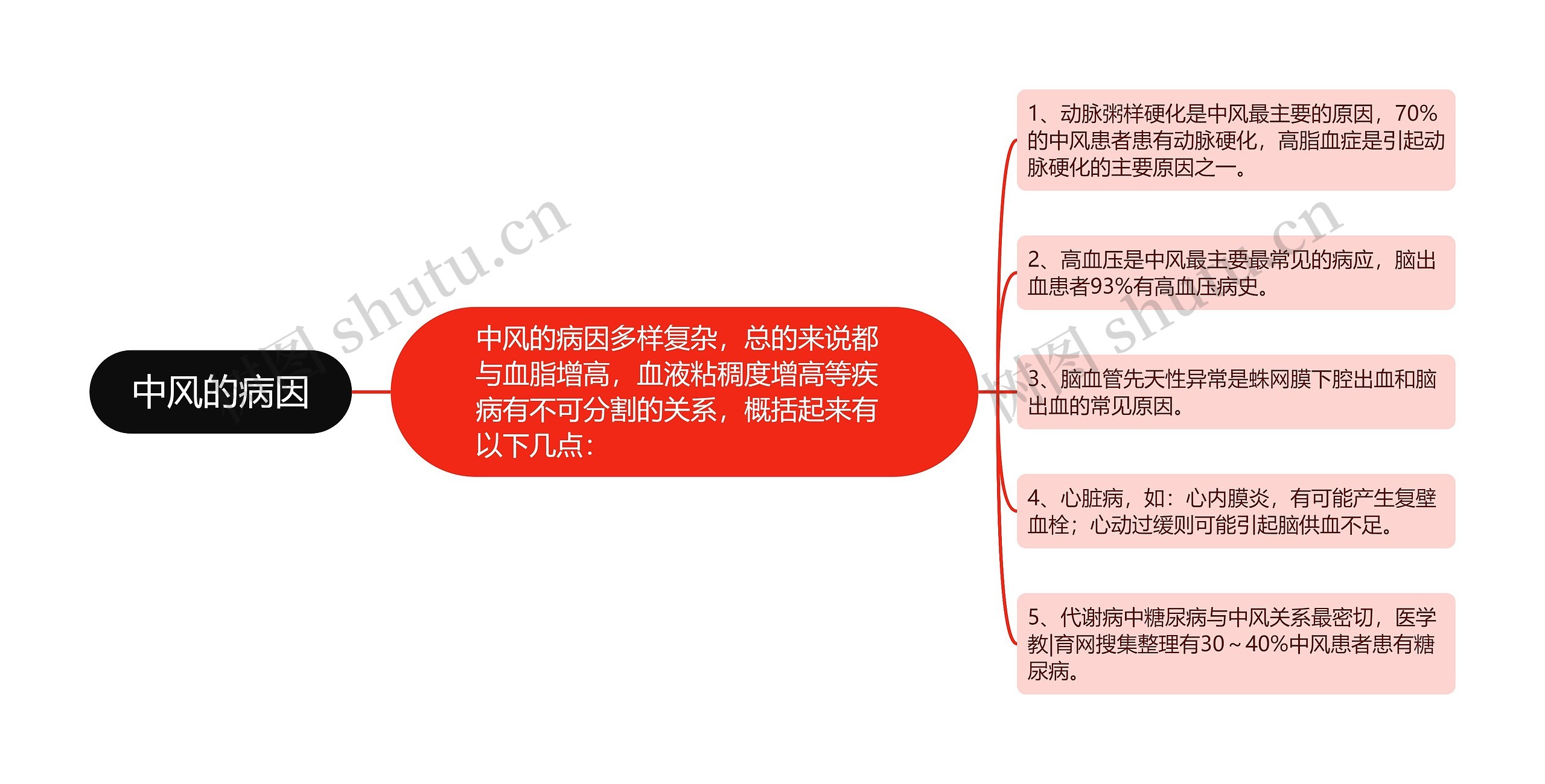 中风的病因 中风的病因