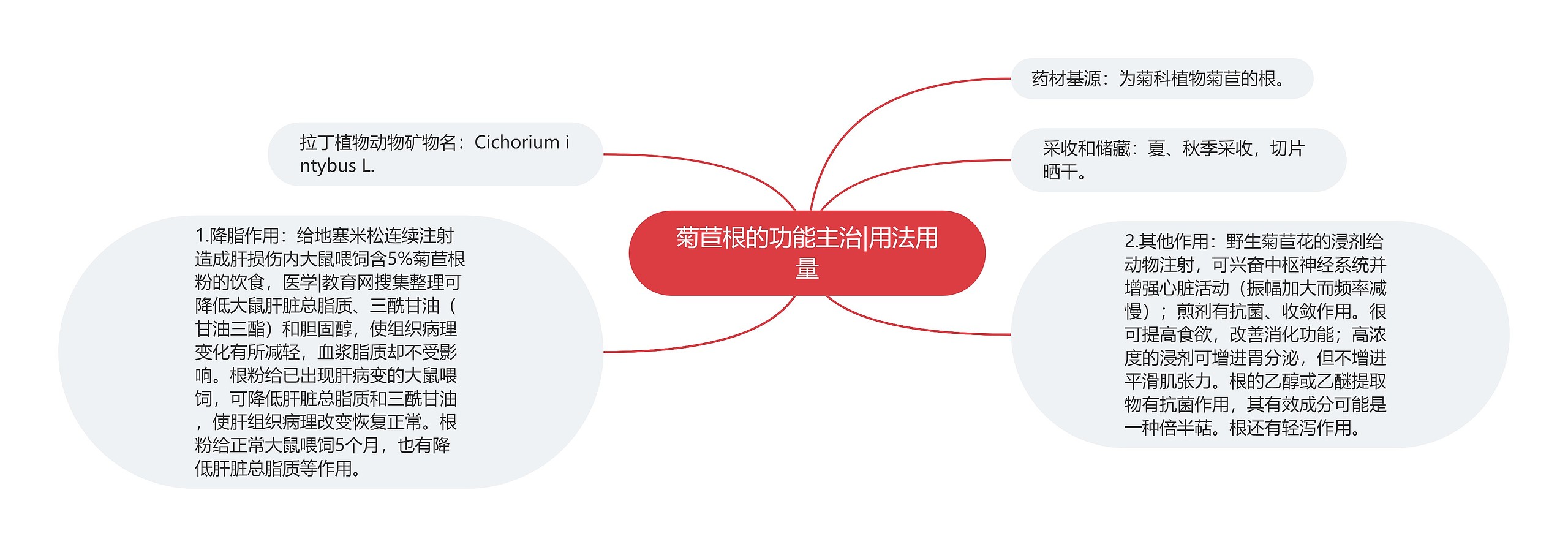 菊苣根的功能主治|用法用量思维导图