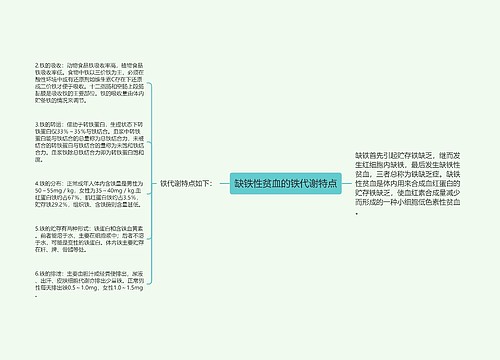 缺铁性贫血的铁代谢特点