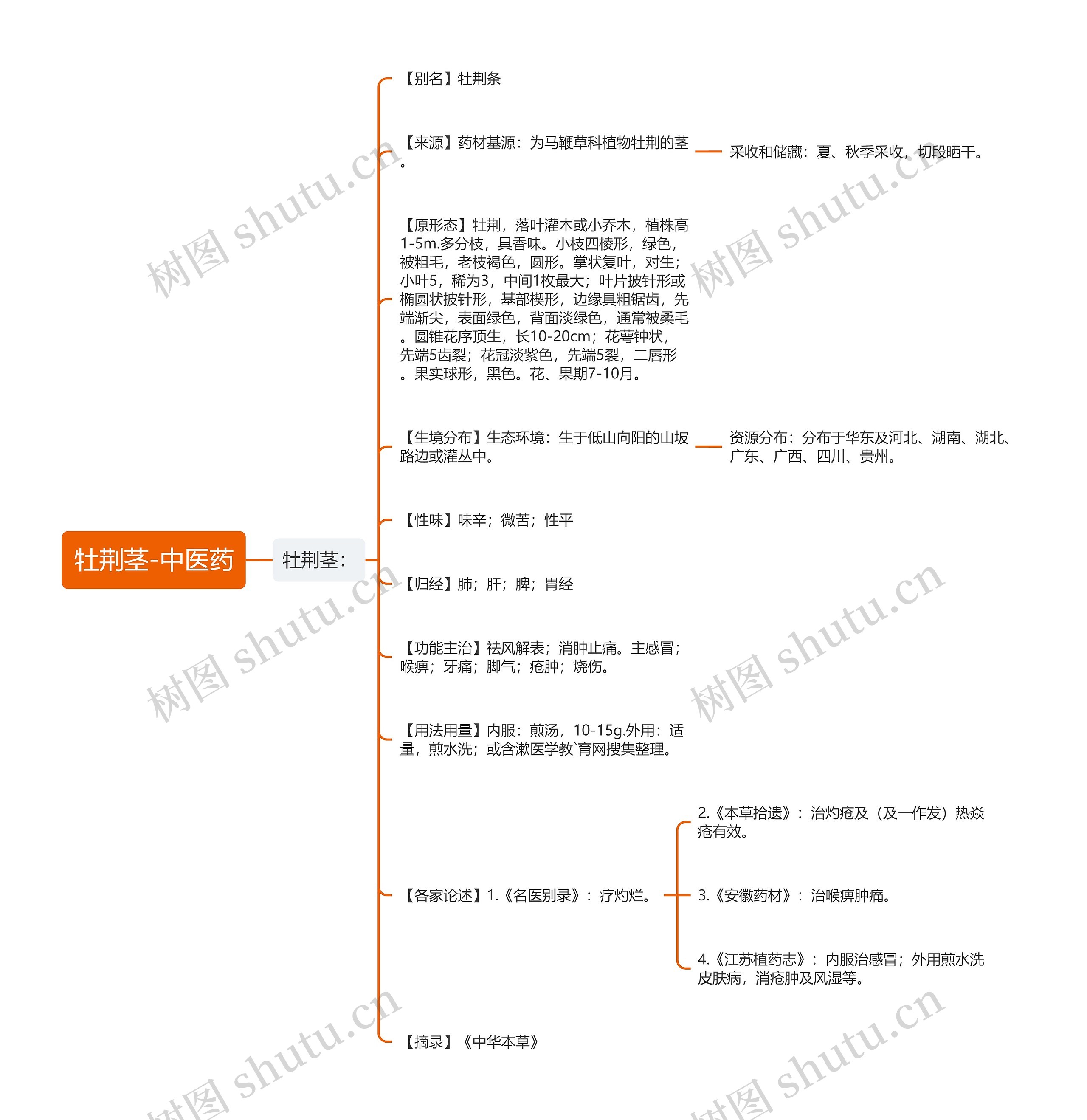 牡荆茎-中医药思维导图