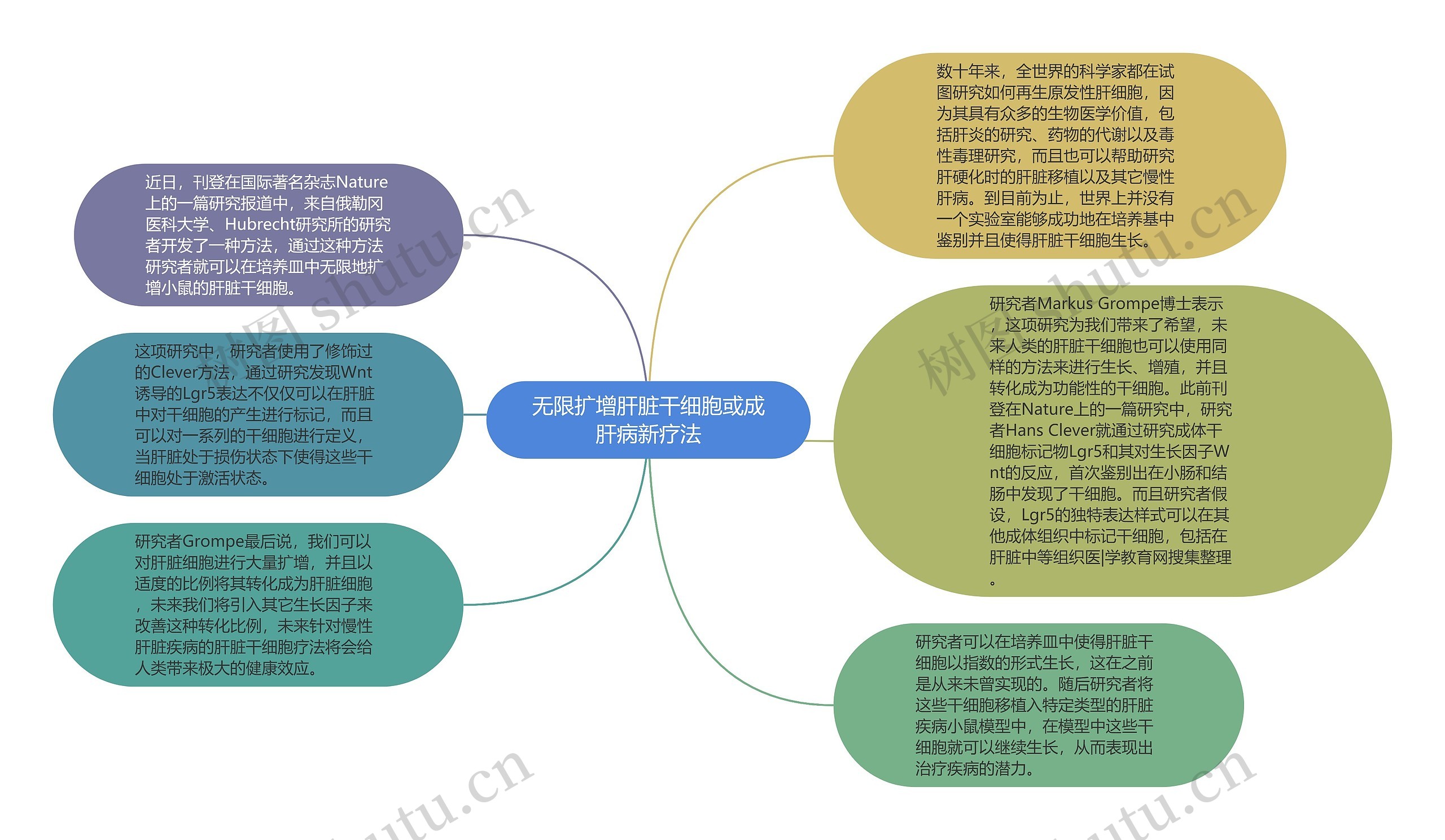 无限扩增肝脏干细胞或成肝病新疗法思维导图