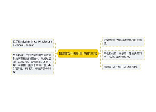 雉脑的用法用量|功能主治