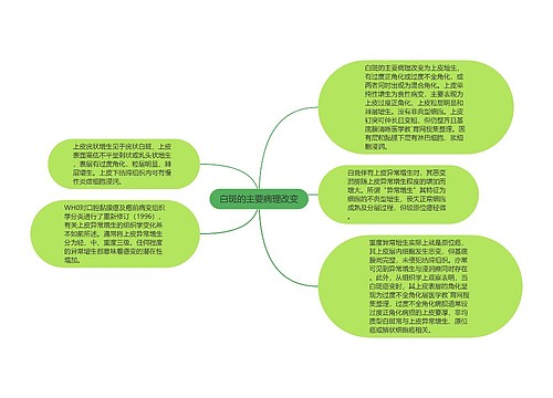 白斑的主要病理改变