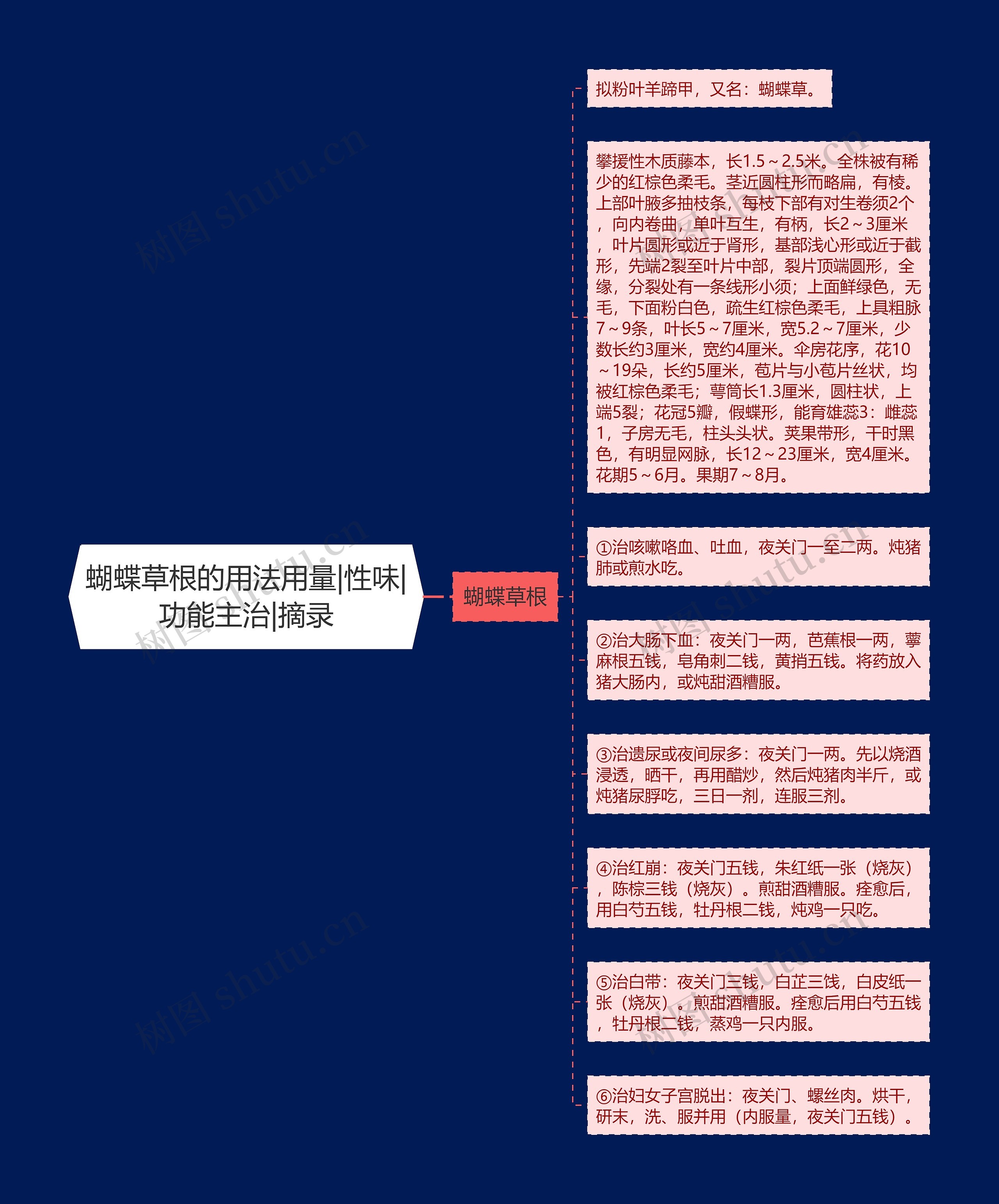 蝴蝶草根的用法用量|性味|功能主治|摘录