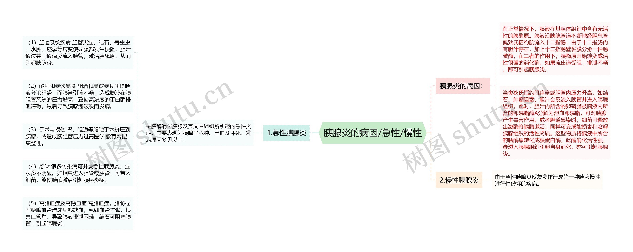 胰腺炎的病因/急性/慢性