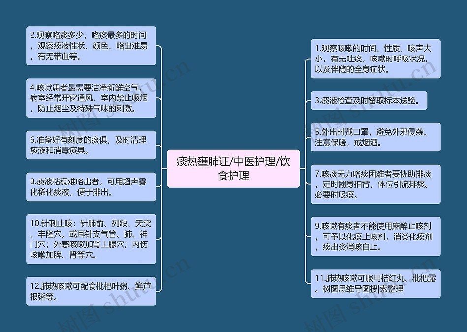 痰热壅肺证/中医护理/饮食护理思维导图_编号p6855319-TreeMind树图