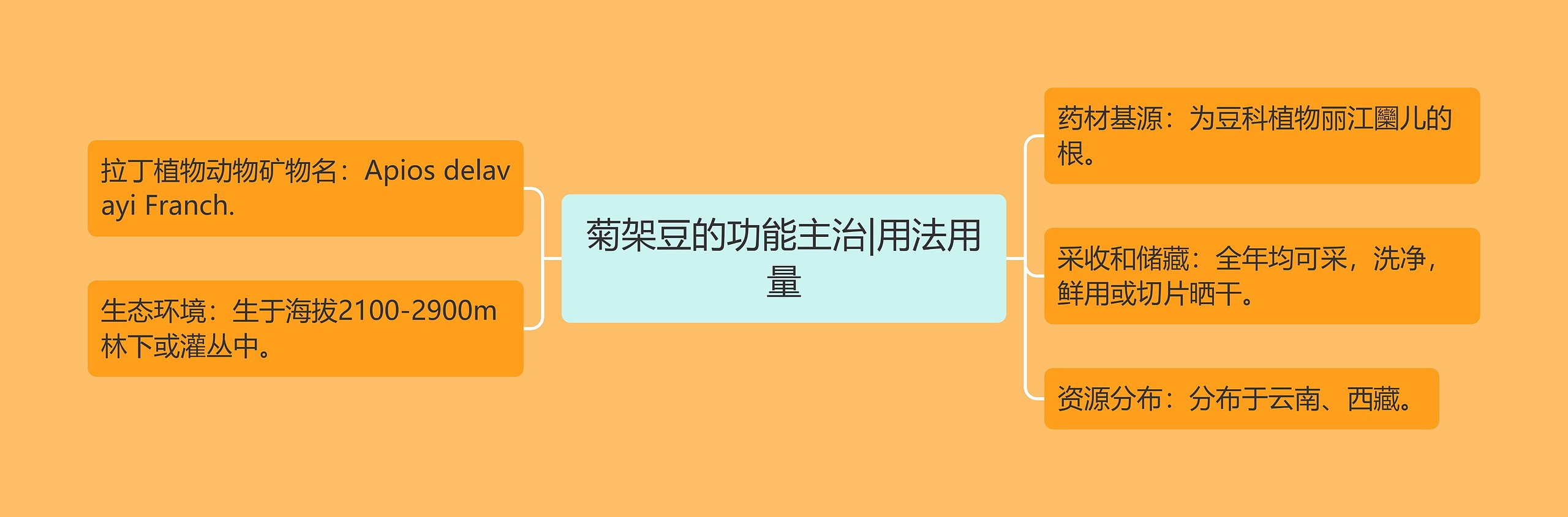菊架豆的功能主治|用法用量 菊架豆的功能主治|用法用量