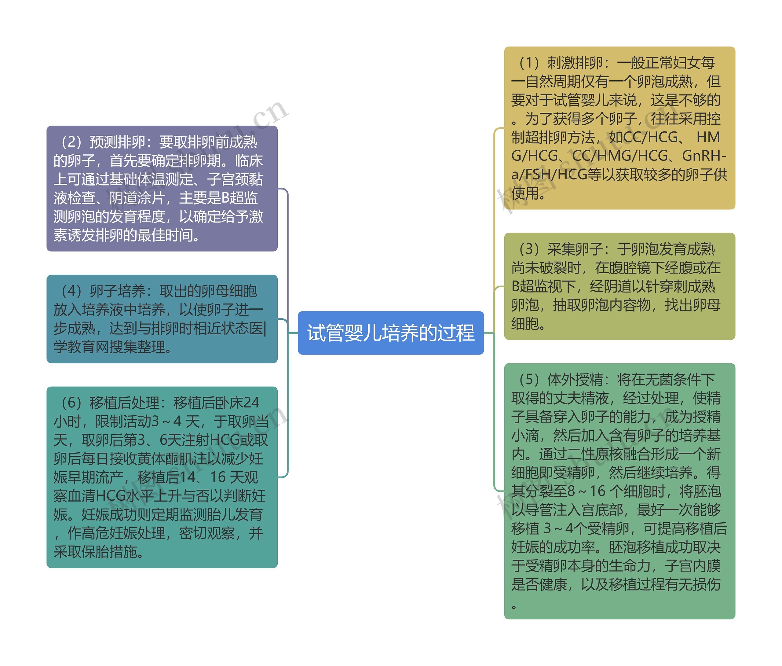 试管婴儿培养的过程思维导图