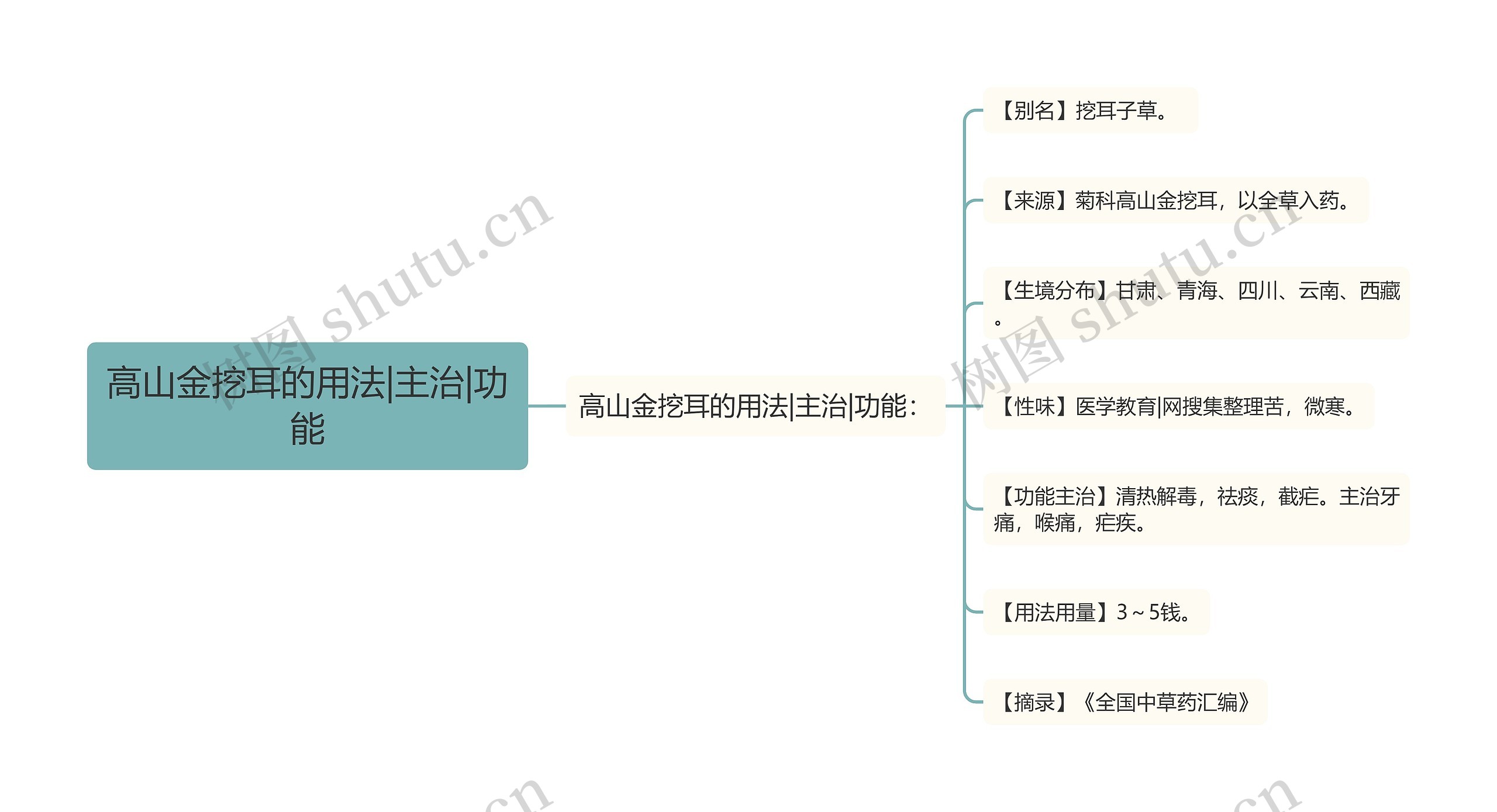 高山金挖耳的用法|主治|功能思维导图