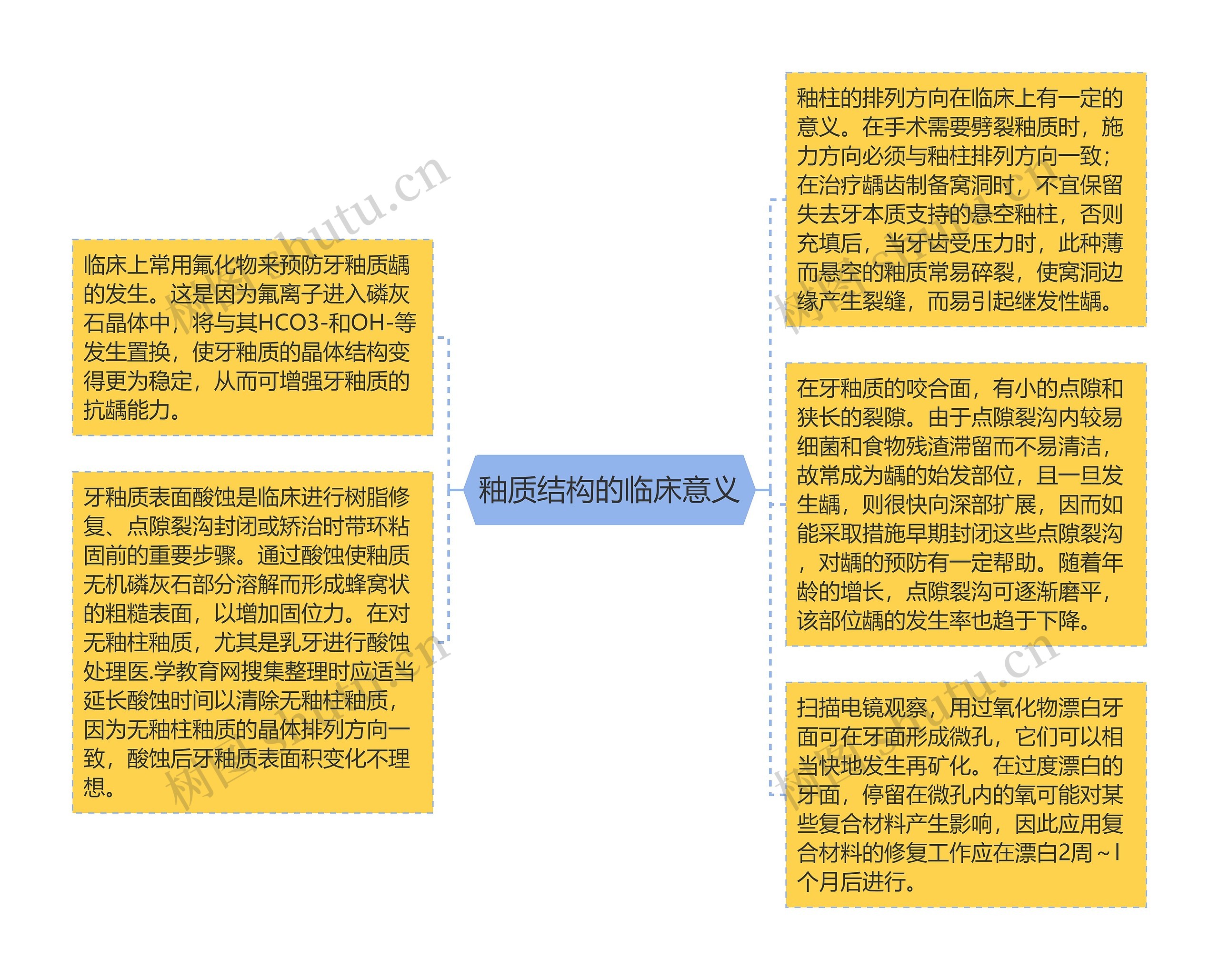 釉质结构的临床意义思维导图