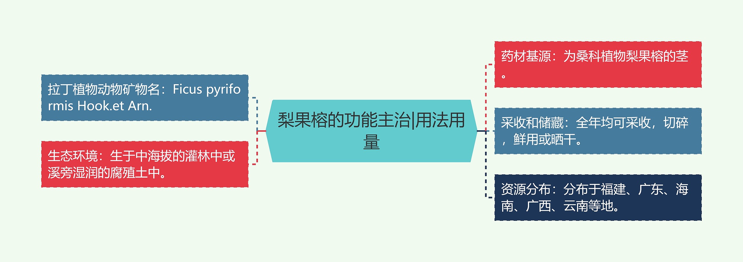 梨果榕的功能主治|用法用量 梨果榕的功能主治|用法用量