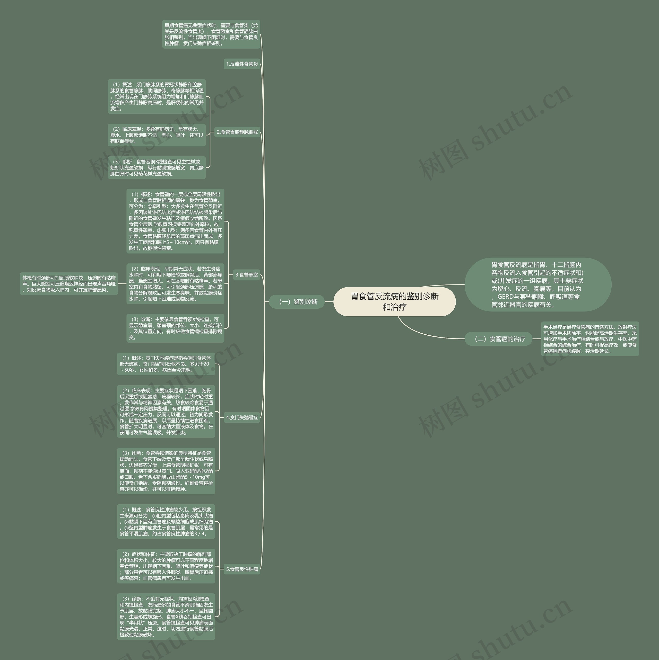 胃食管反流病的鉴别诊断和治疗 胃食管反流病的鉴别诊断和治疗