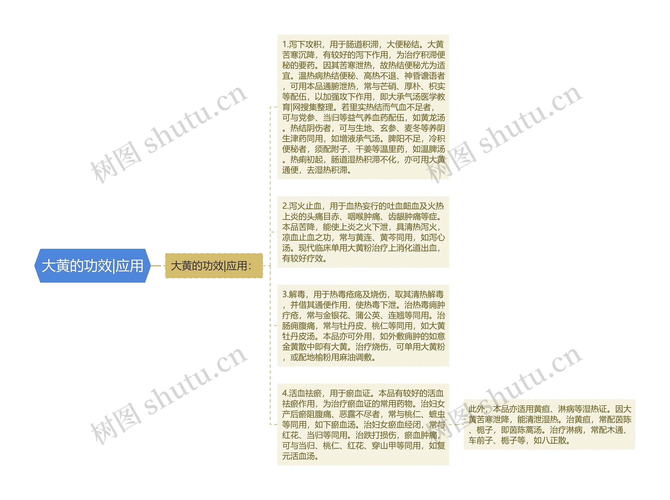 大黄的功效|应用思维导图