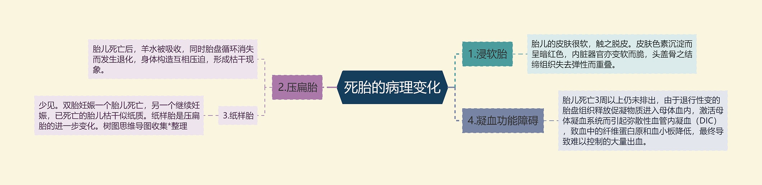 死胎的病理变化 死胎的病理变化