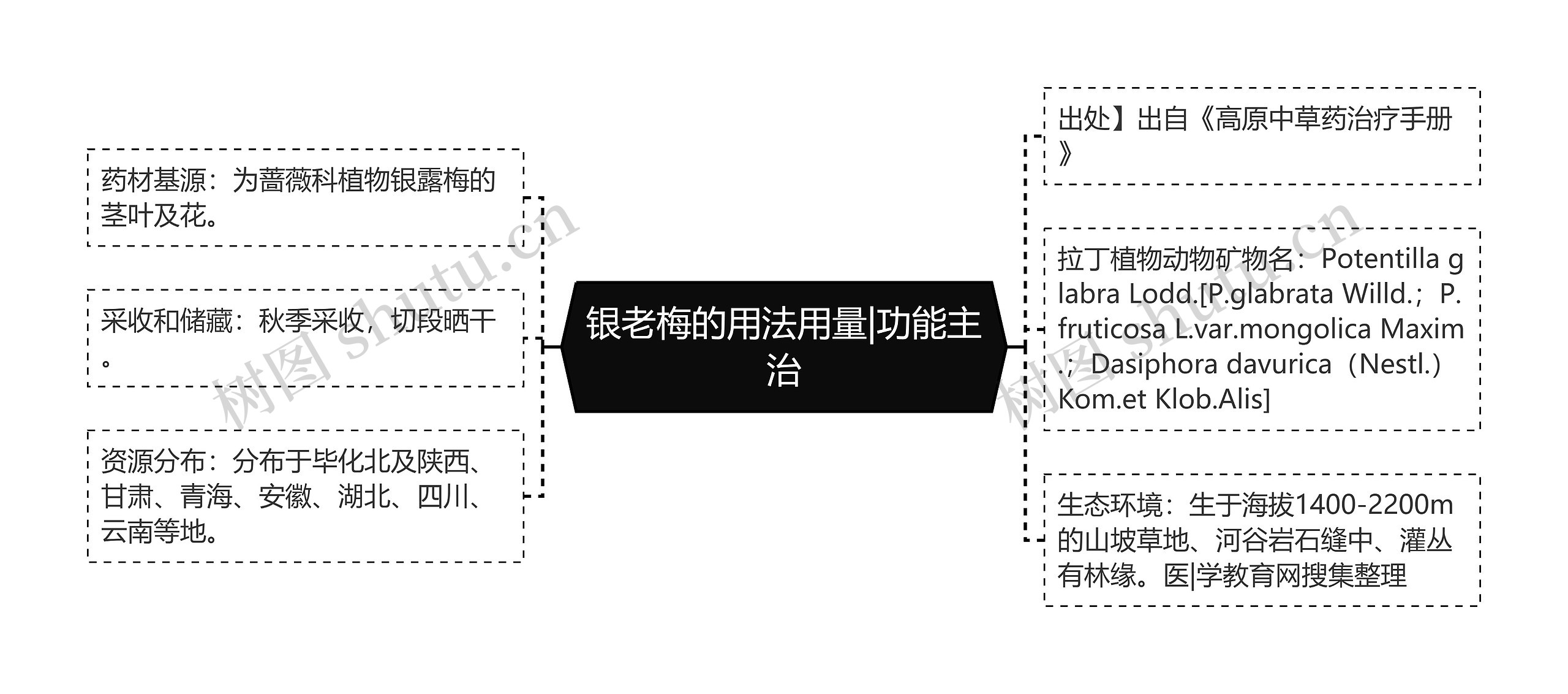 银老梅的用法用量|功能主治思维导图