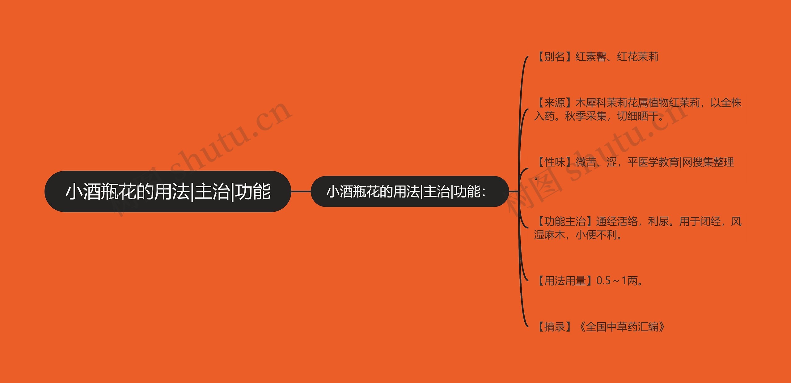 小酒瓶花的用法|主治|功能思维导图