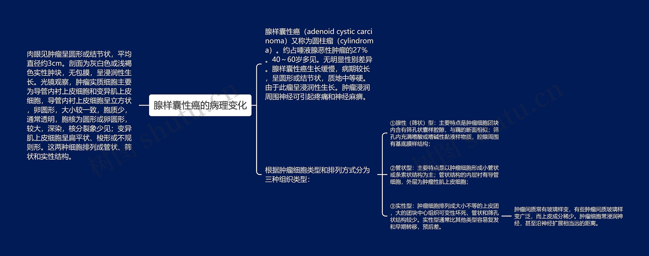 腺样囊性癌的病理变化