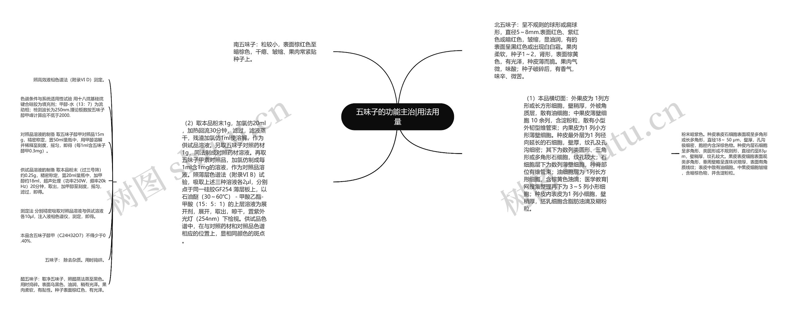 五味子的功能主治|用法用量思维导图