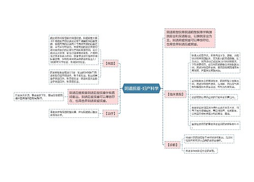 阴道脱垂-妇产科学