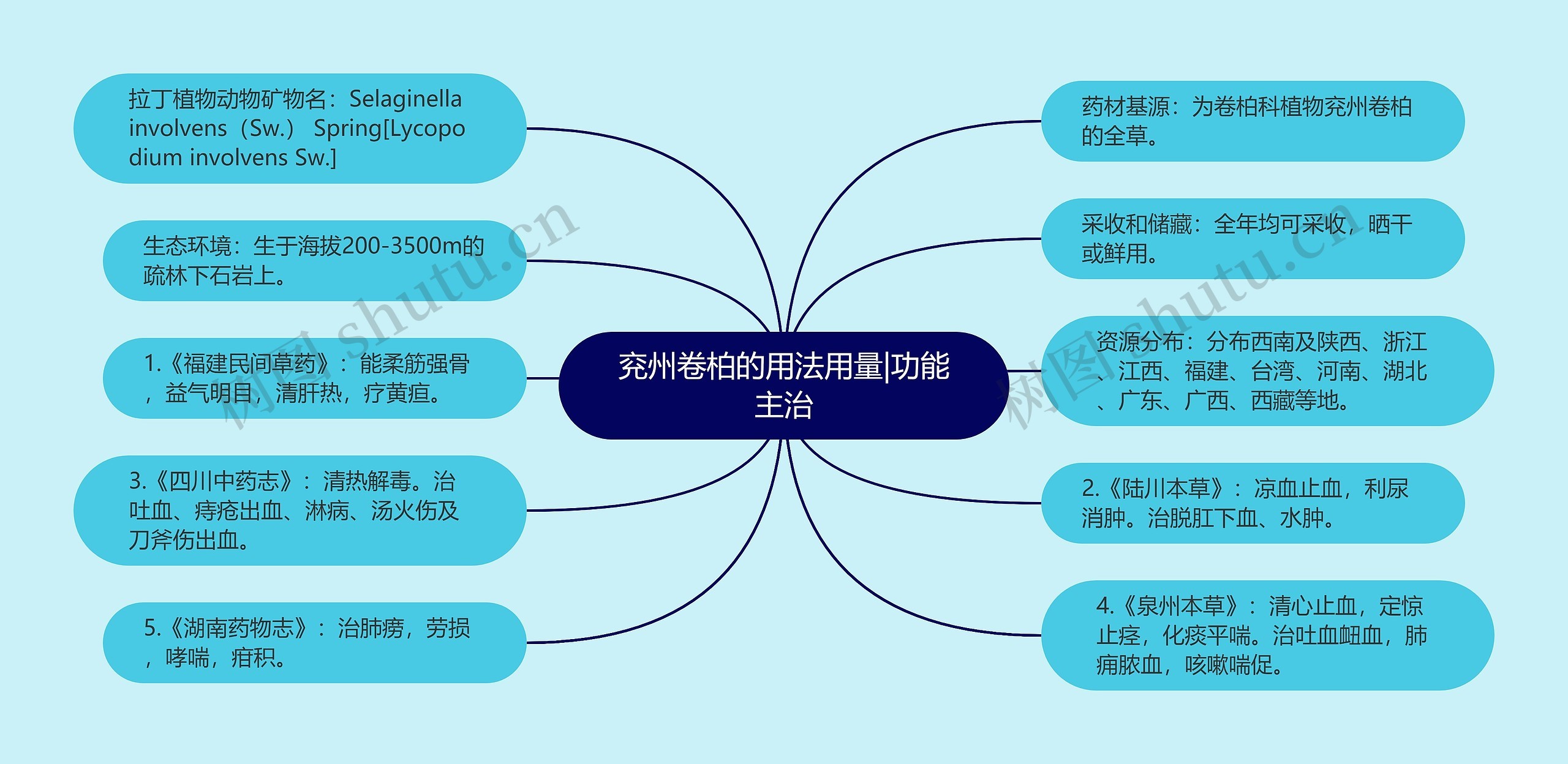 兖州卷柏的用法用量|功能主治思维导图