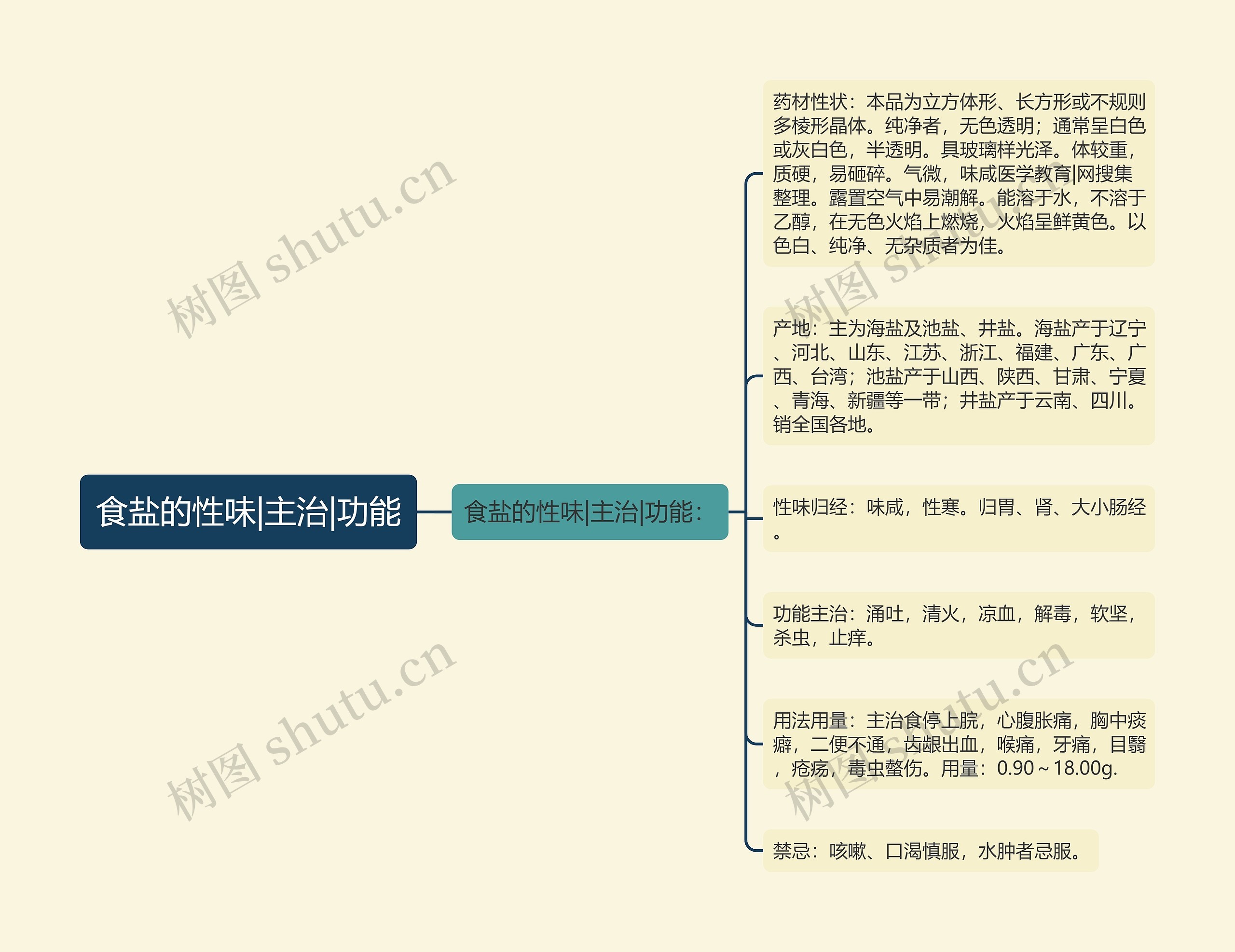 食盐的性味|主治|功能思维导图