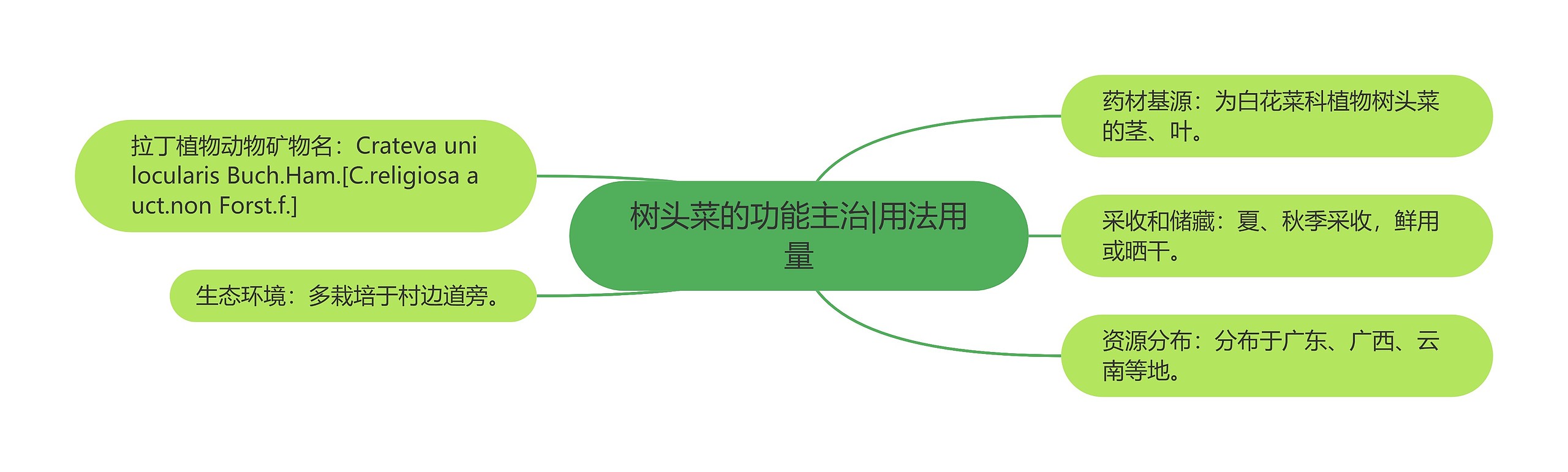 树头菜的功能主治|用法用量