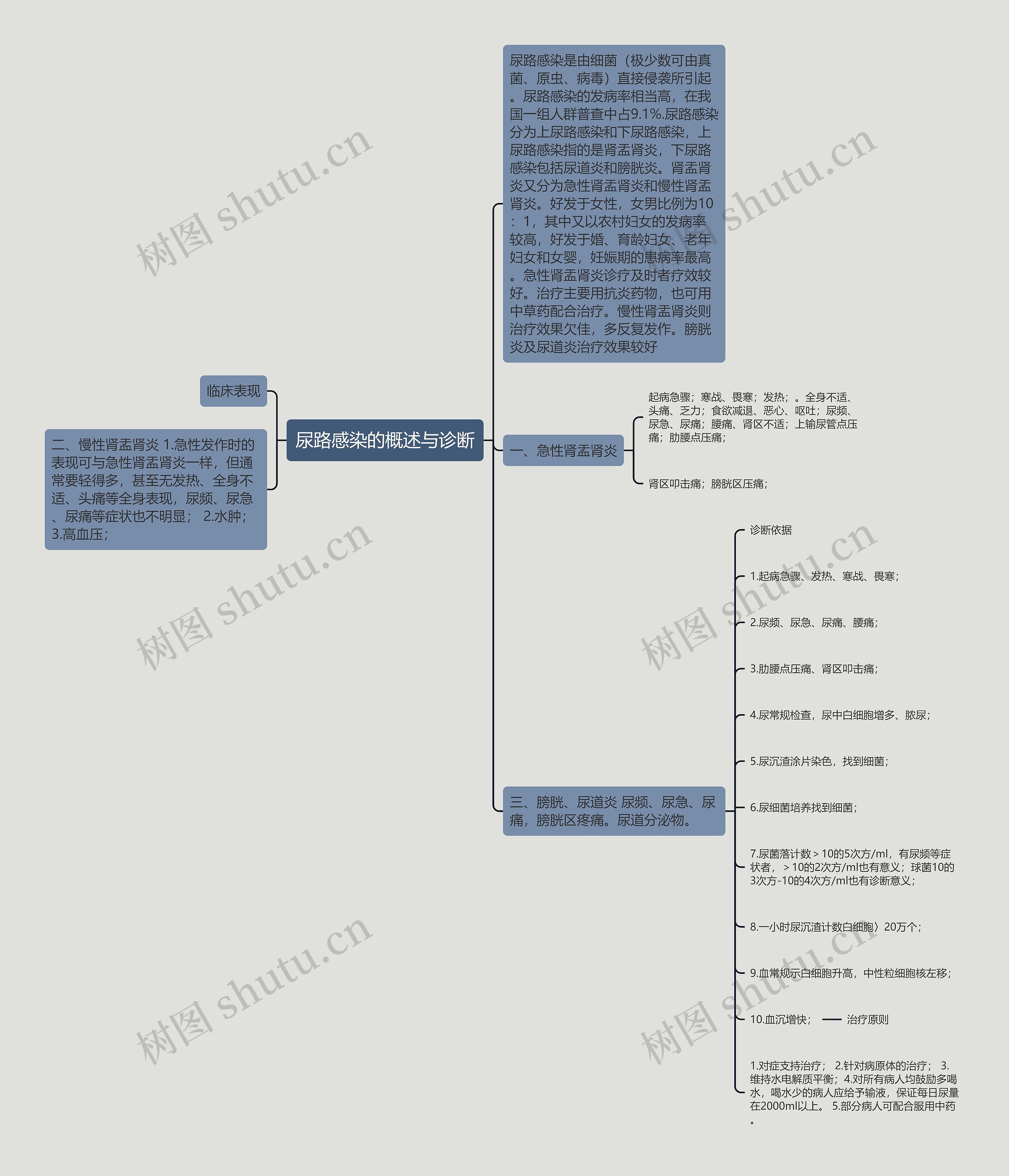 尿路感染的概述与诊断 尿路感染的概述与诊断