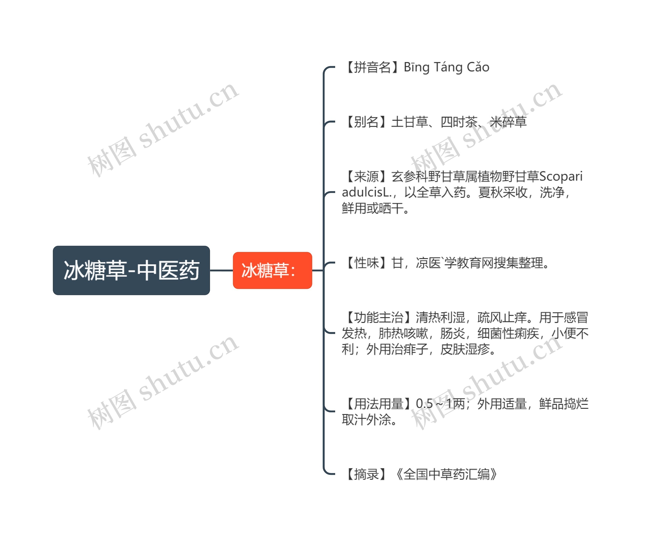 冰糖草-中医药思维导图