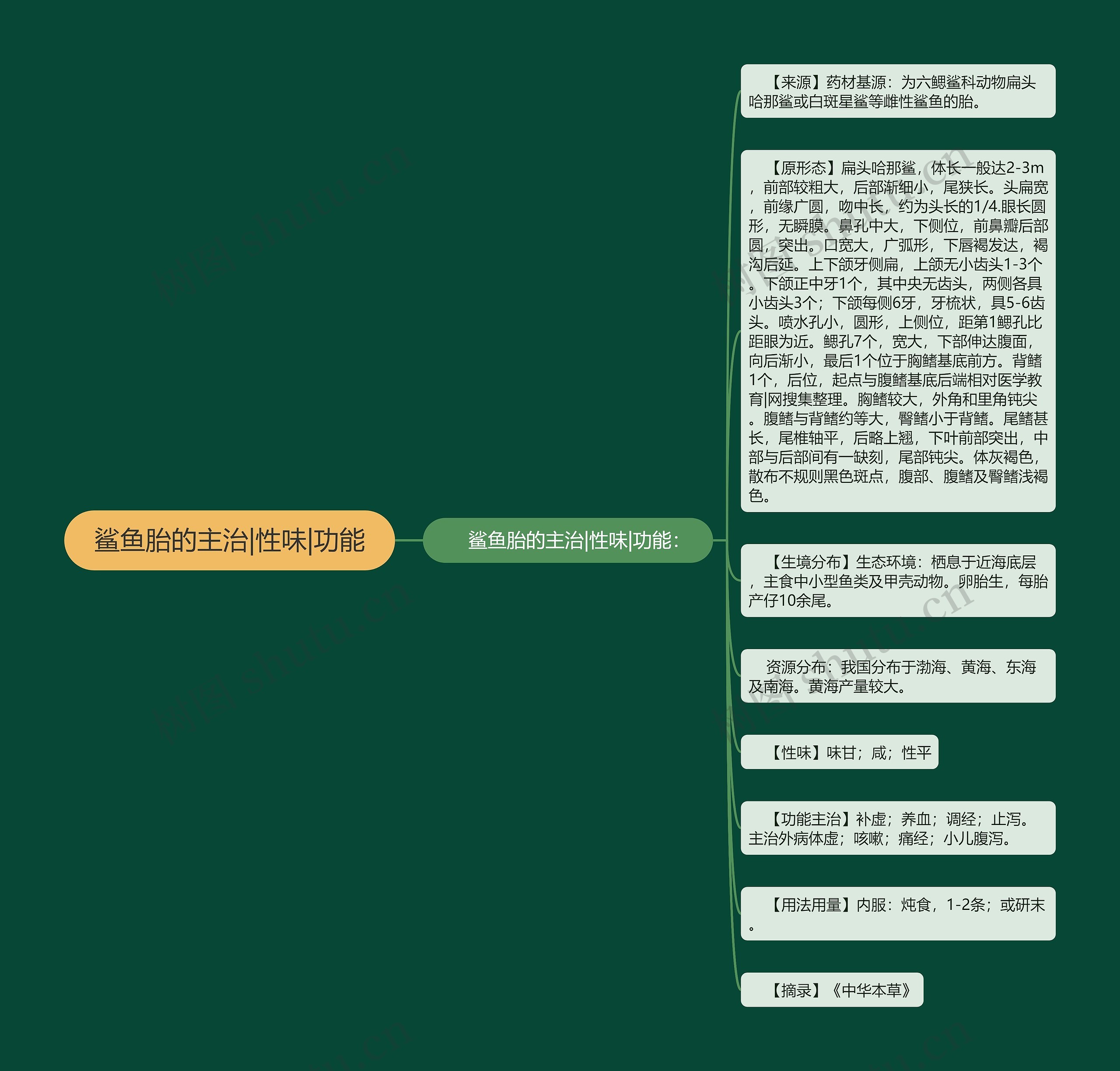 鲨鱼胎的主治|性味|功能 鲨鱼胎的主治|性味|功能