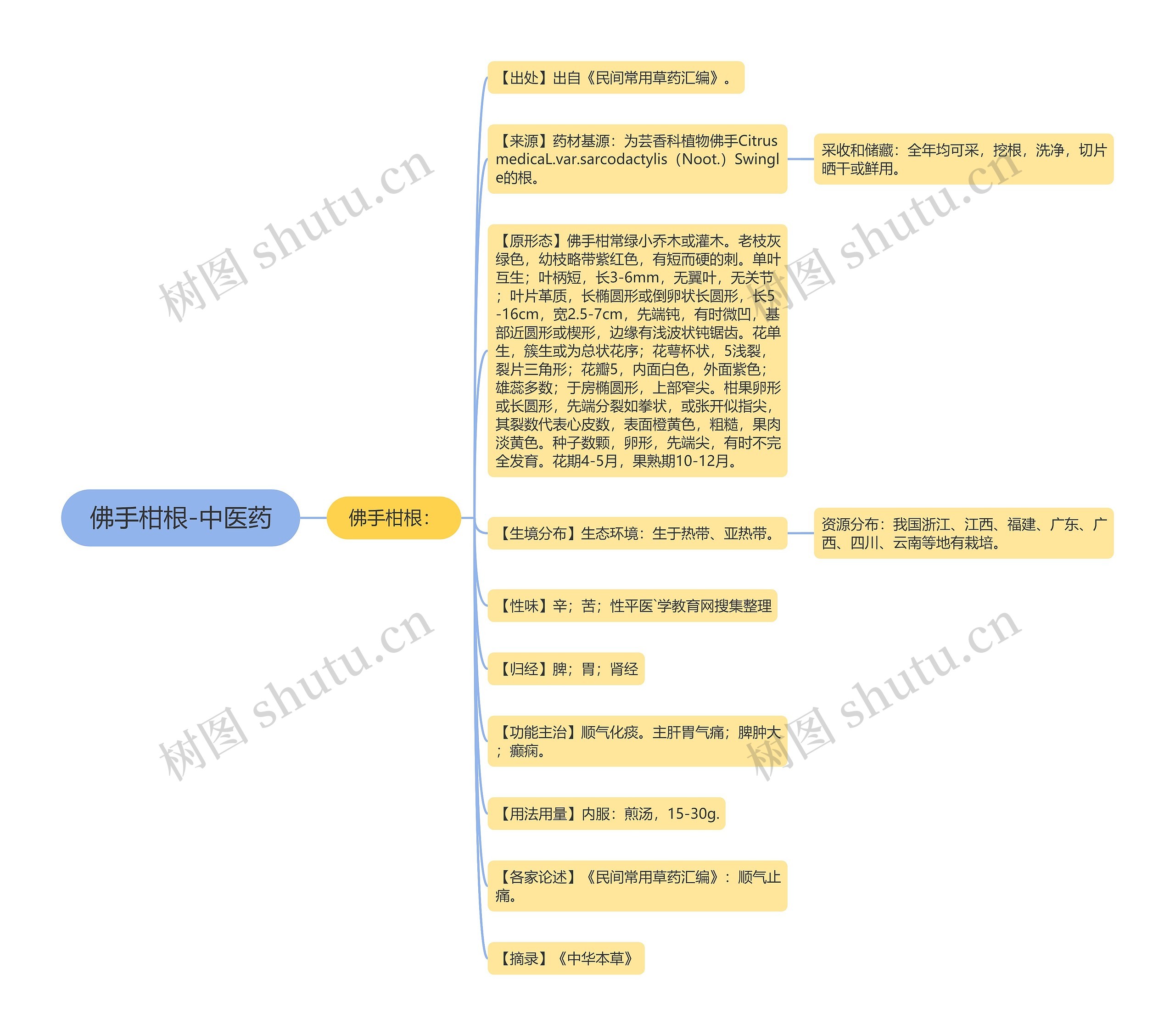 佛手柑根-中医药思维导图