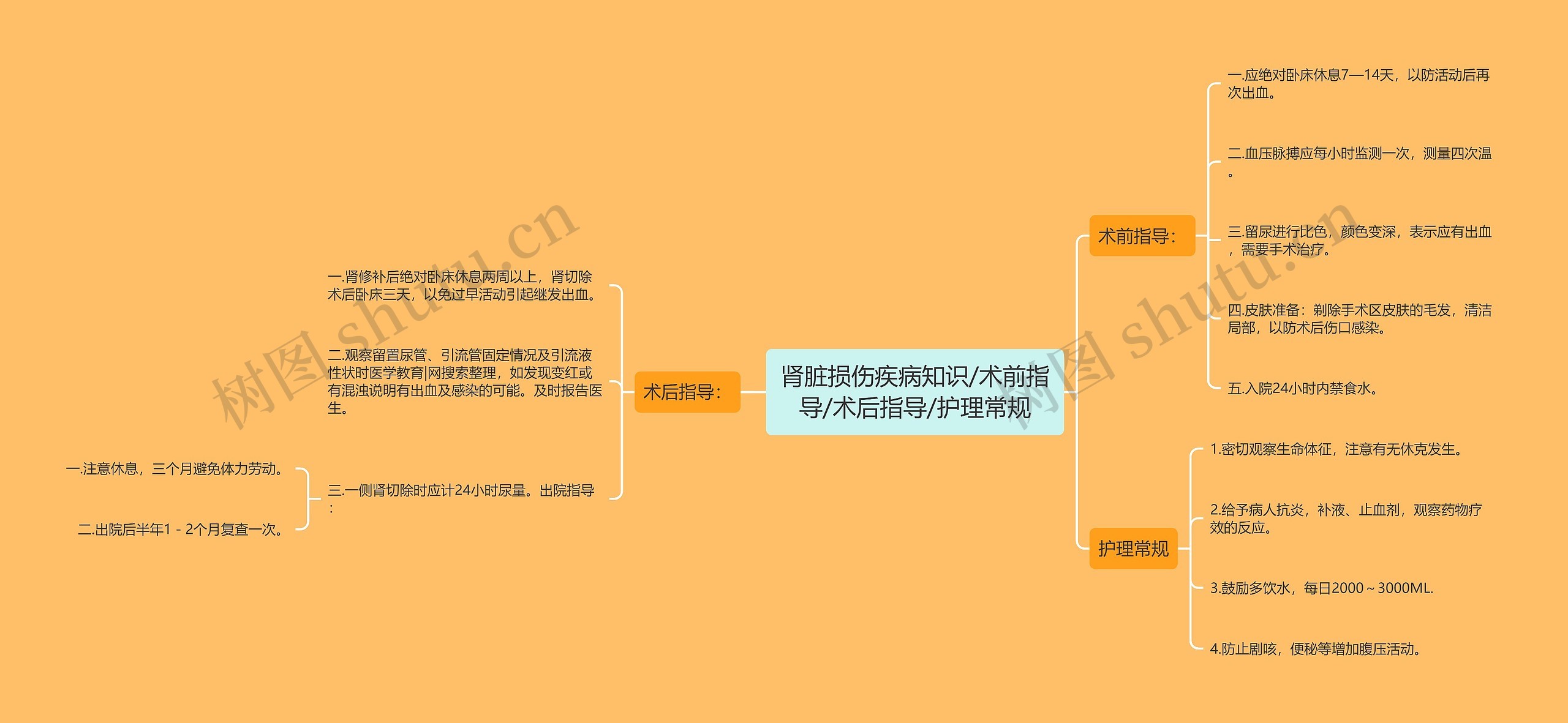 肾脏损伤疾病知识/术前指导/术后指导/护理常规思维导图