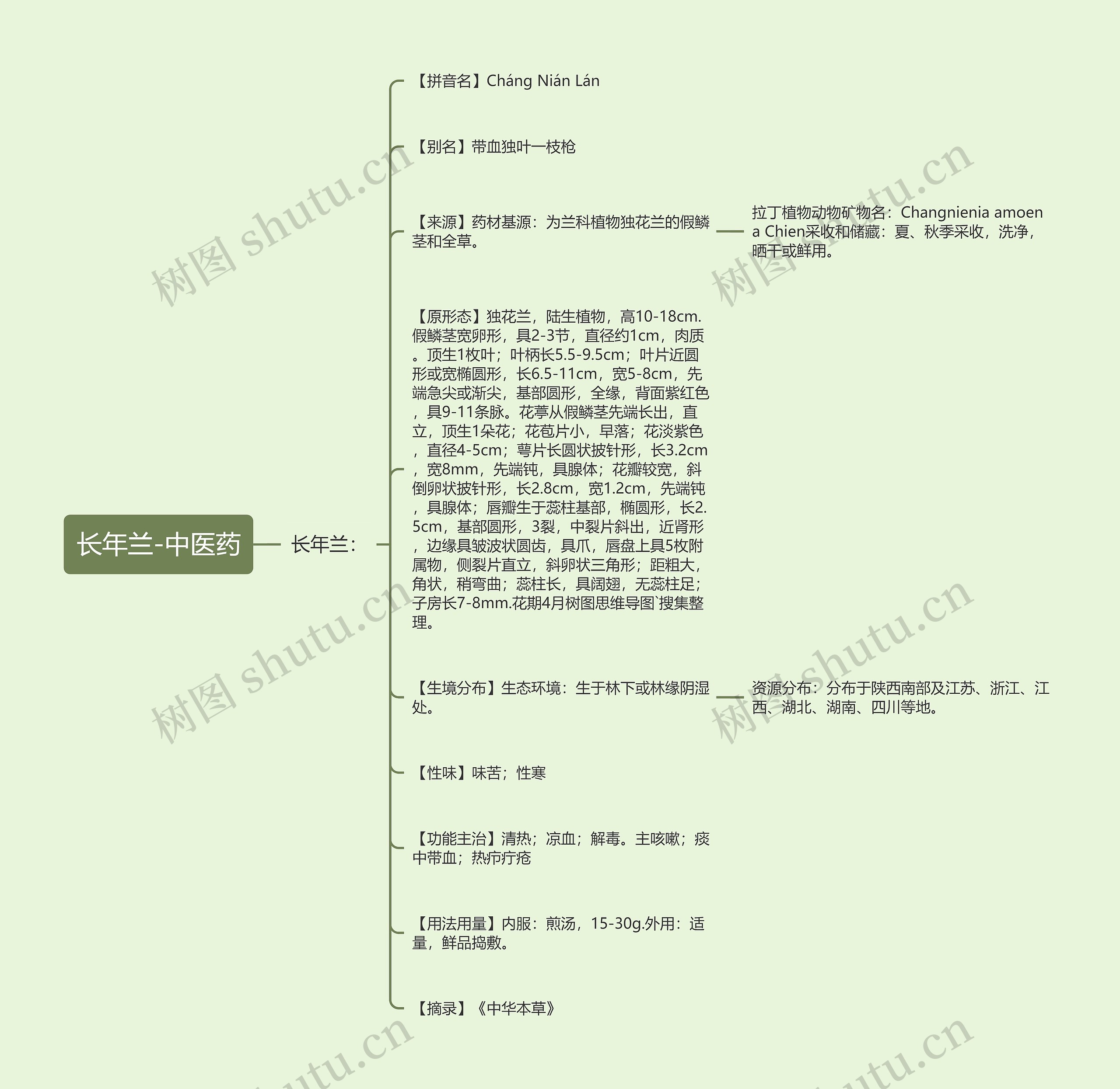 长年兰-中医药 长年兰-中医药