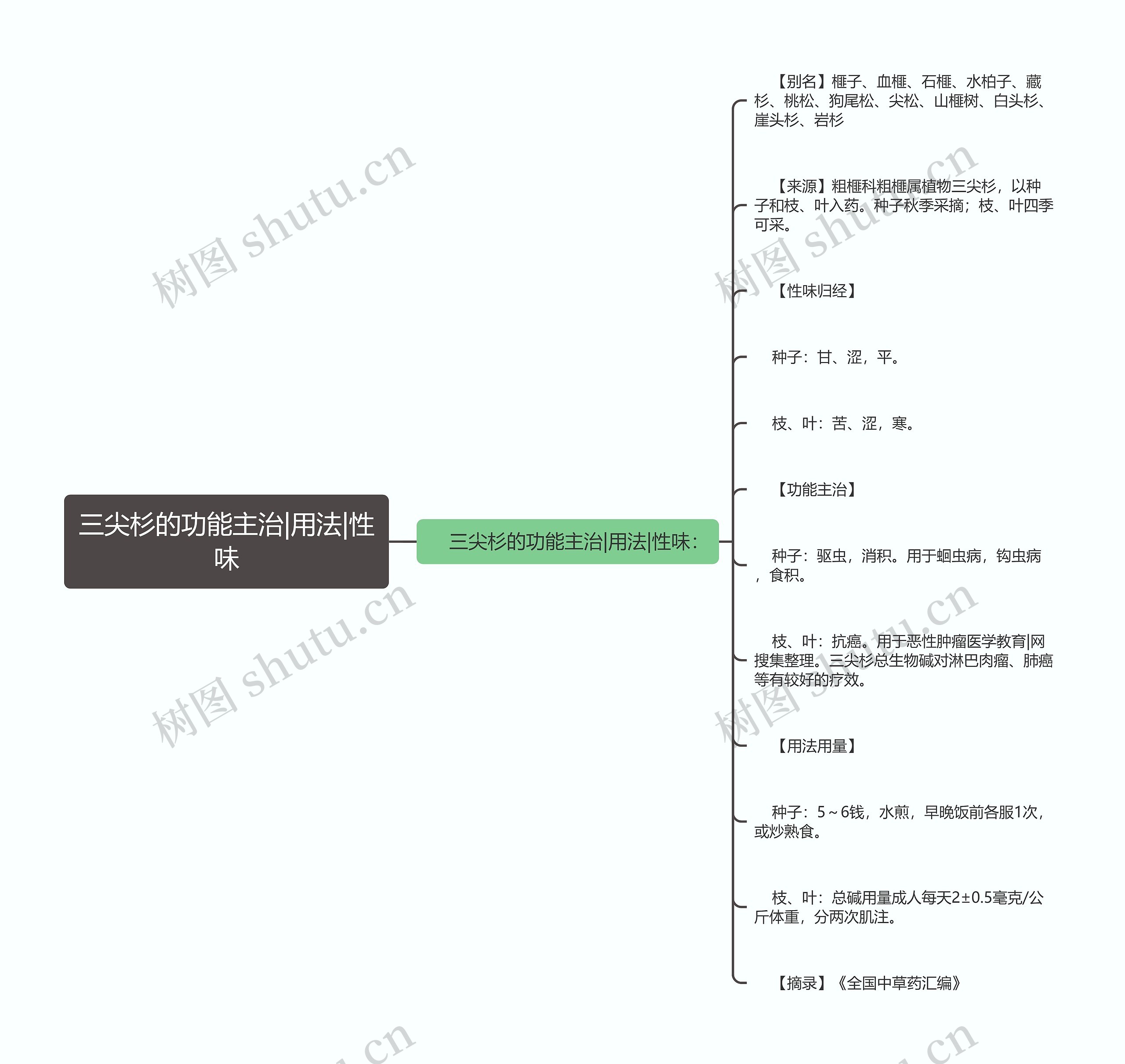 三尖杉的功能主治|用法|性味思维导图