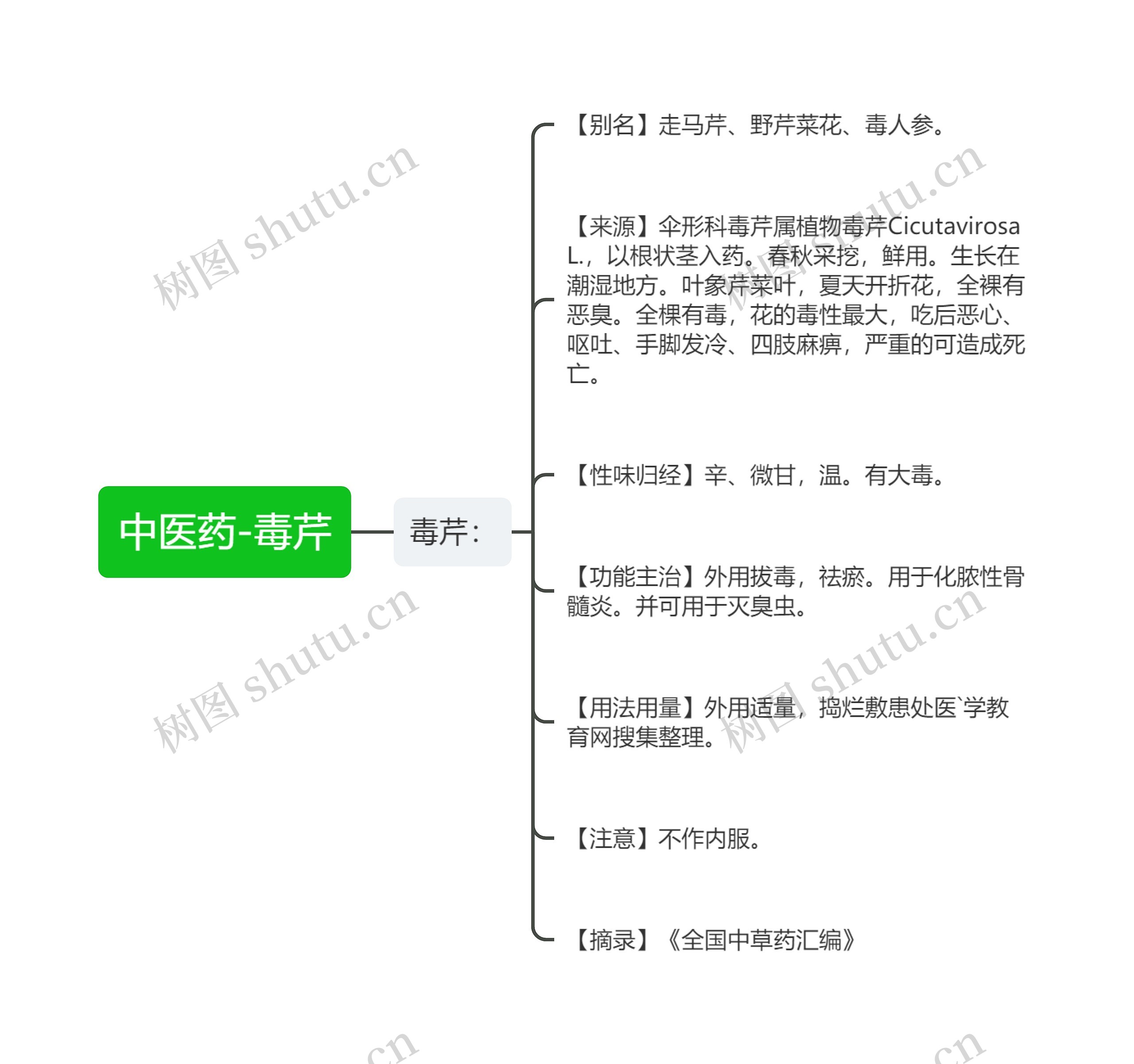 中医药-毒芹思维导图