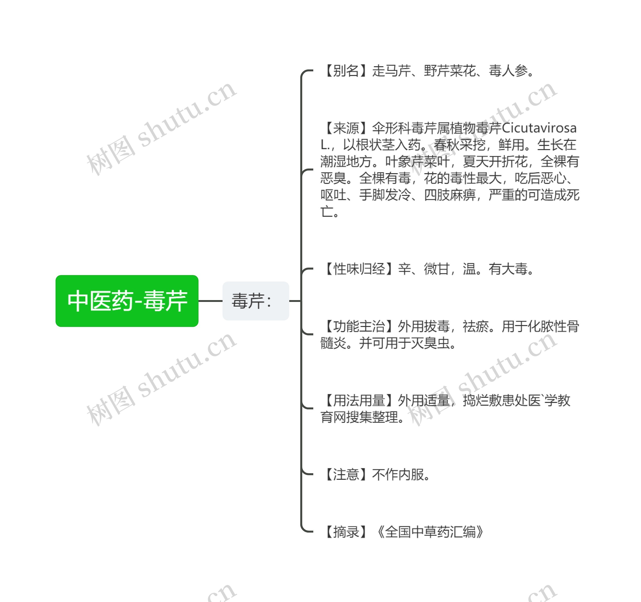 中医药-毒芹 中医药-毒芹