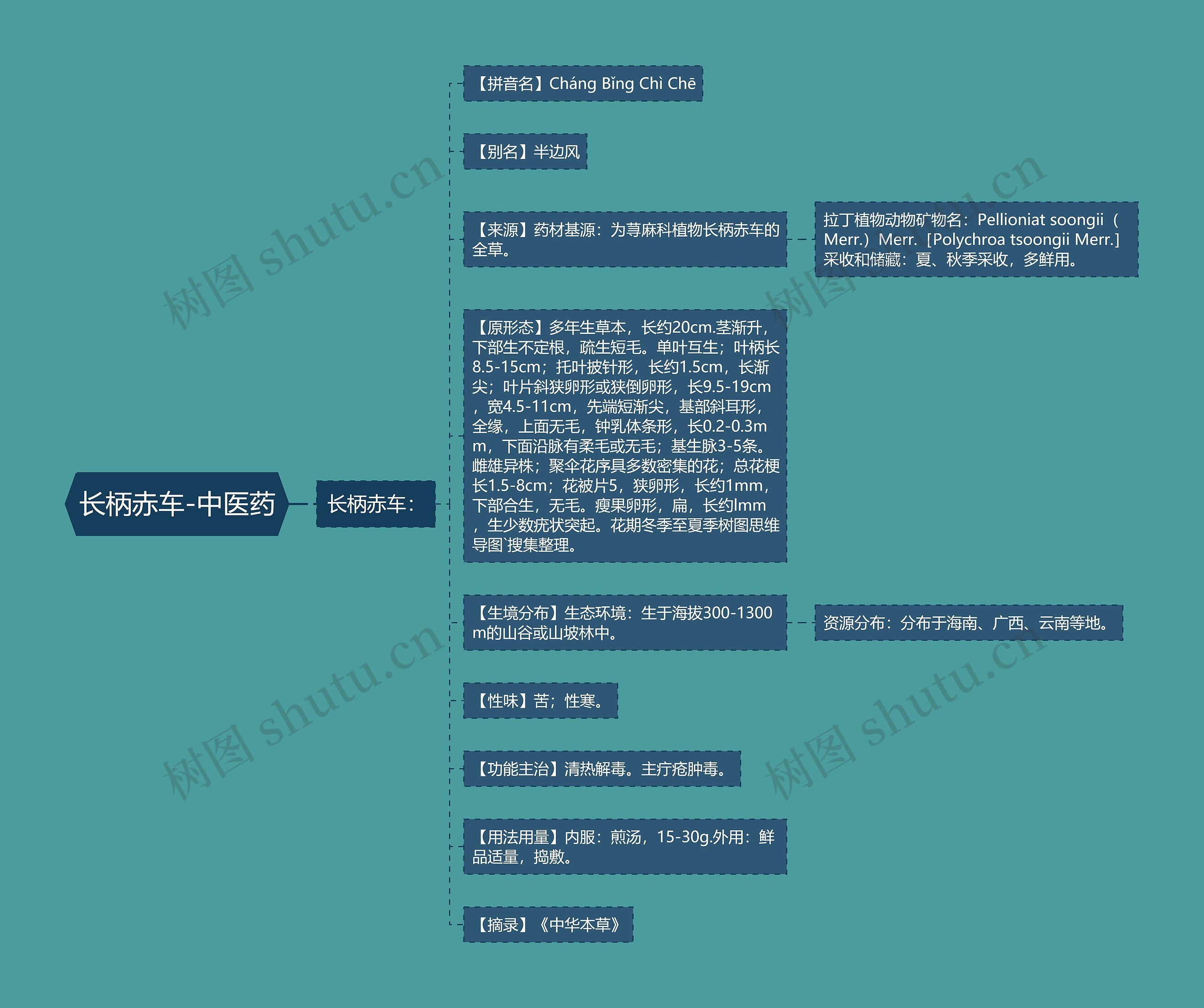长柄赤车-中医药思维导图